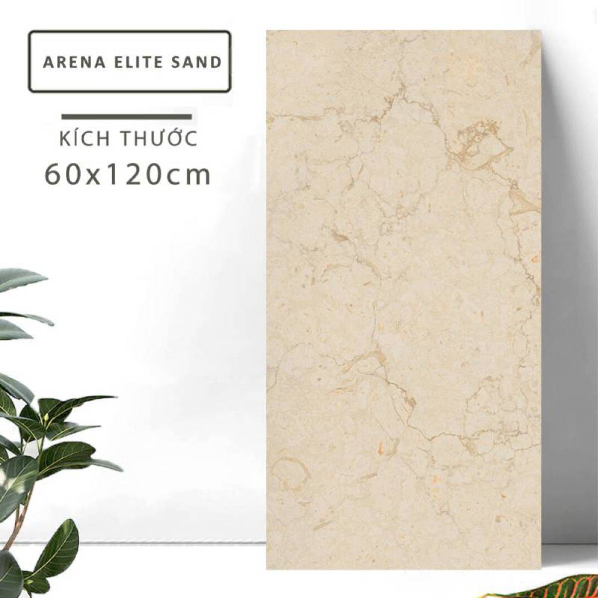 Đặc điểm của Gạch khổ lớn Ấn Độ men bóng 600x1200mm ARENA ELITE SAND