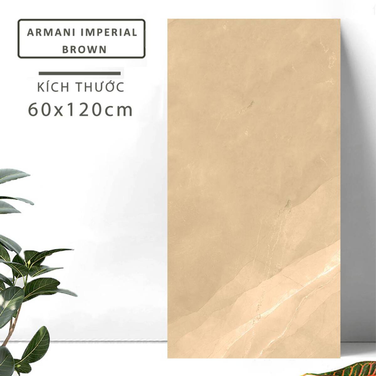 Đặc điểm của Gạch khổ lớn Ấn Độ men bóng 600x1200mm ARMANI IMPERIAL BROWN