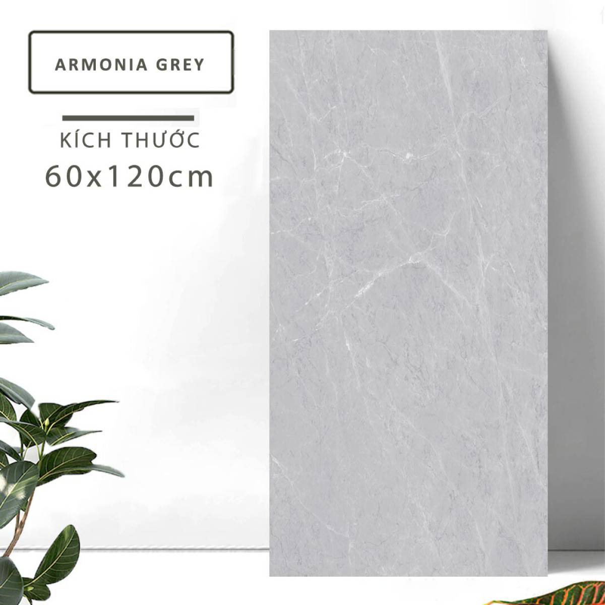 Đặc điểm của Gạch khổ lớn Ấn Độ men bóng 600x1200mm ARMONIA GREY