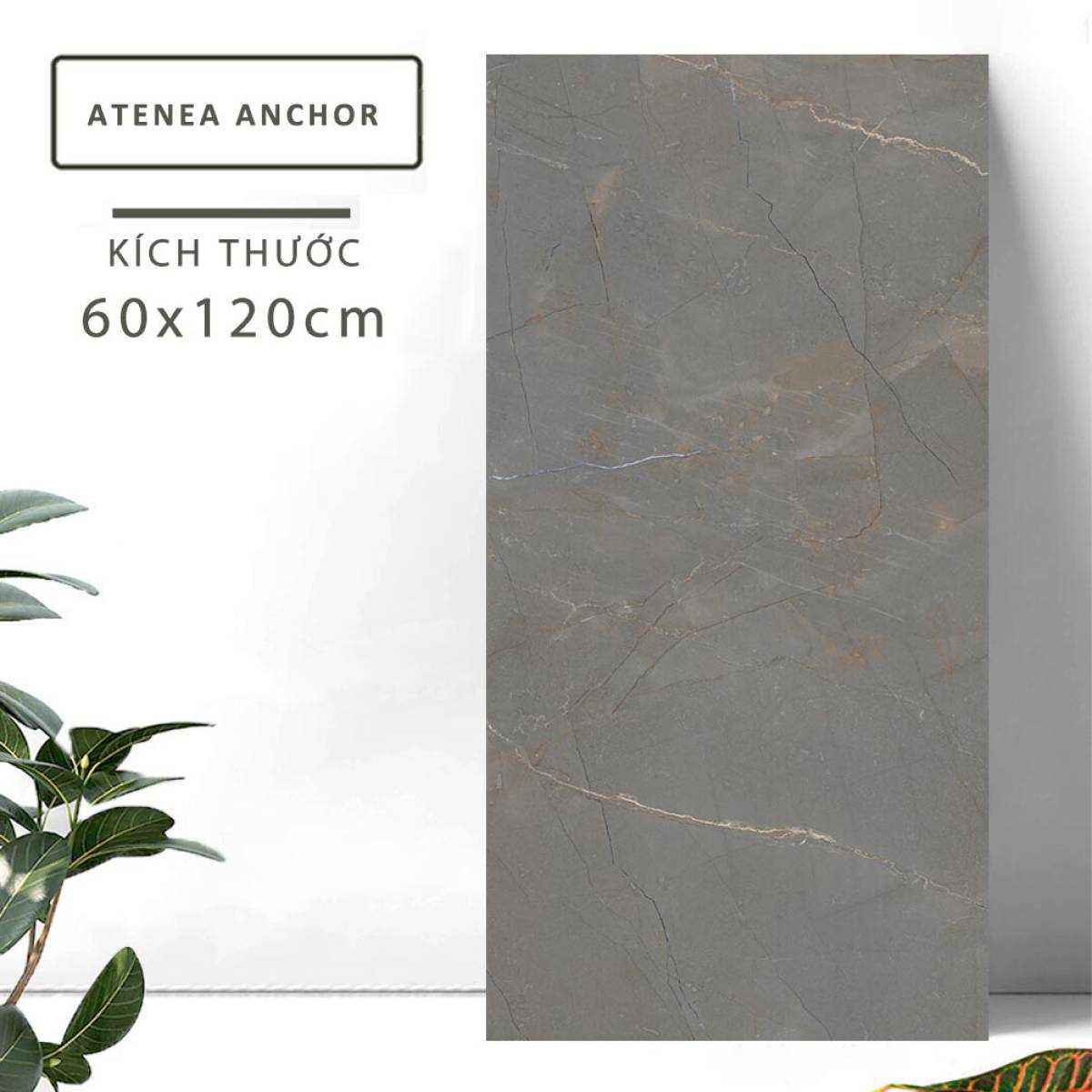 Đặc điểm của Gạch khổ lớn Ấn Độ men bóng 600x1200mm ATENEA ANCHOR