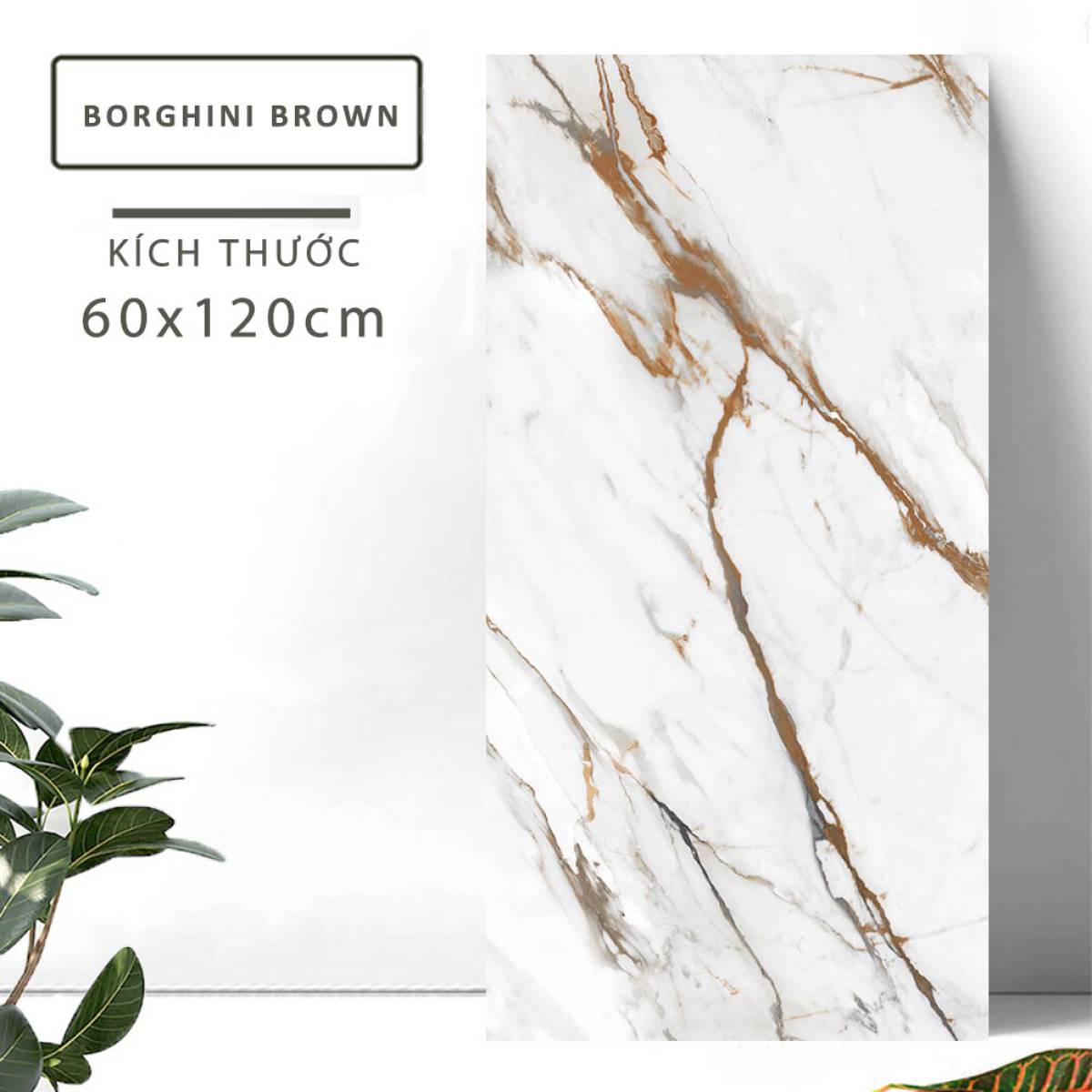 Đặc điểm của Gạch khổ lớn Ấn Độ men bóng 600x1200mm BORGHINI BROWN