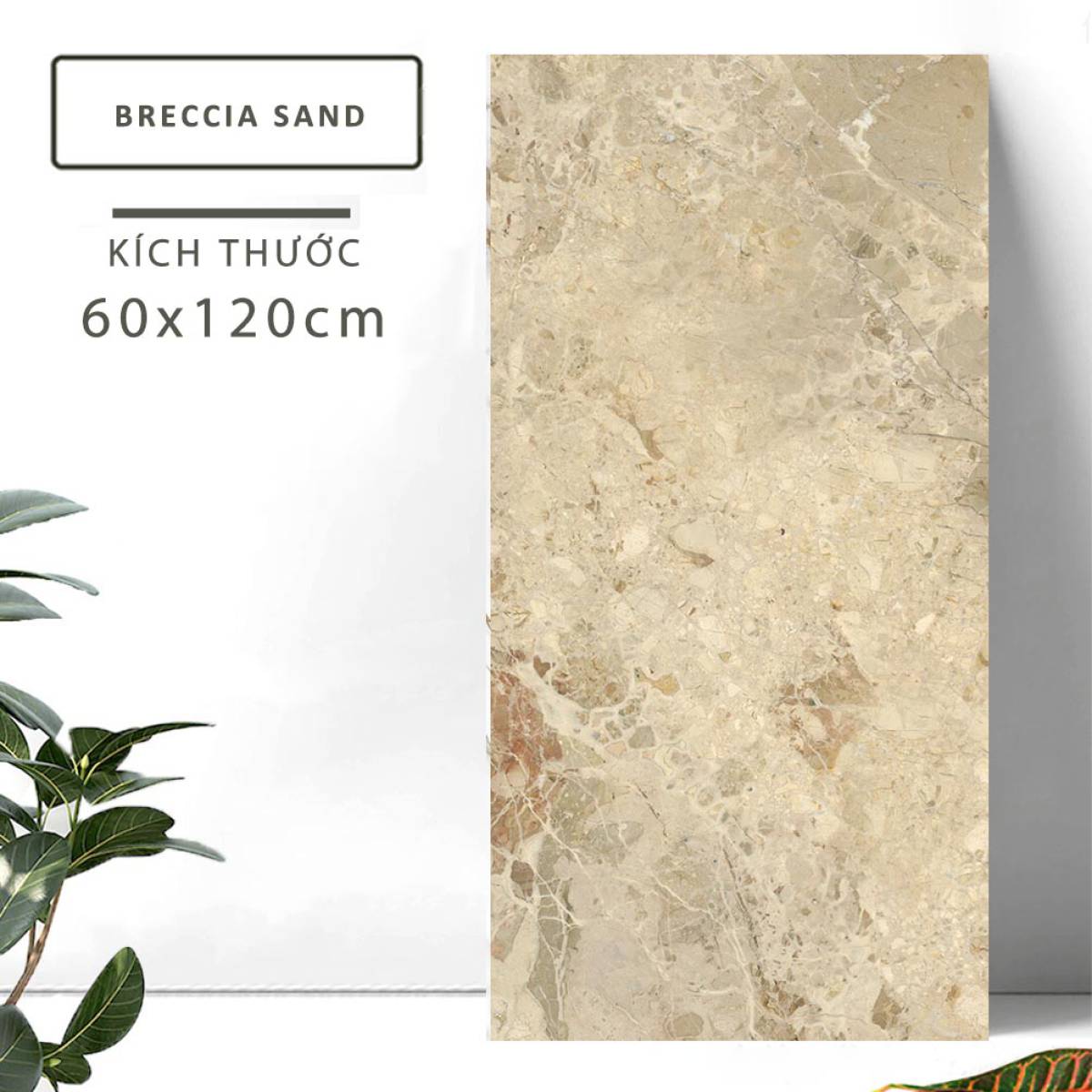 Đặc điểm của Gạch khổ lớn Ấn Độ men bóng 600x1200mm BRECCIA SAND