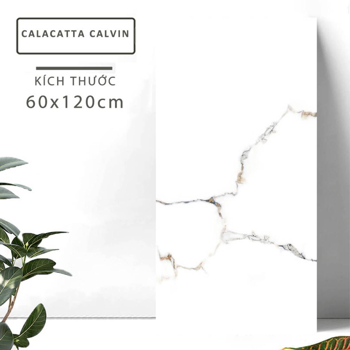 Đặc điểm của Gạch khổ lớn Ấn Độ men bóng 600x1200mm CALACATTA CALVIN