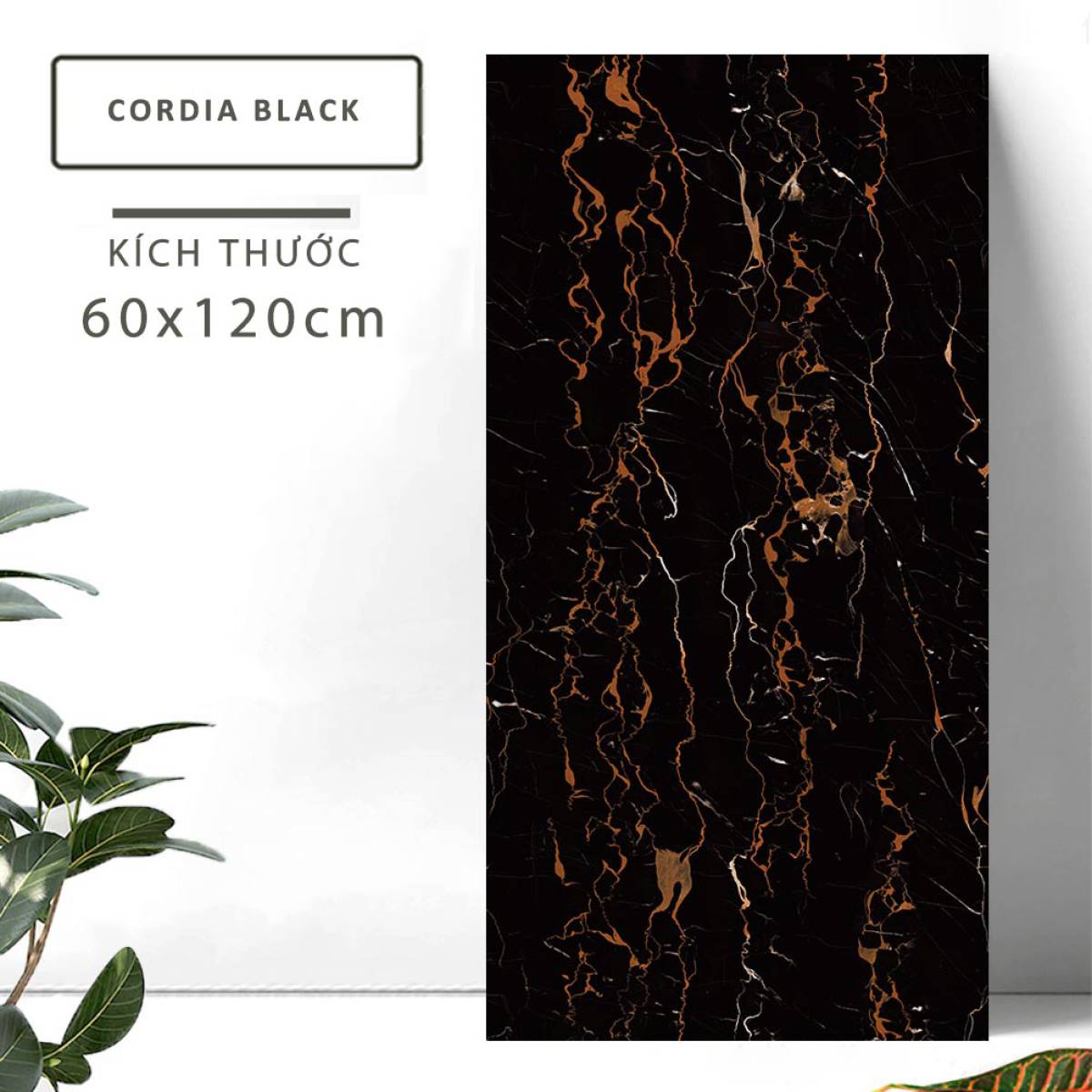 Đặc điểm của Gạch khổ lớn Ấn Độ men bóng 600x1200mm CORDIA BLACK