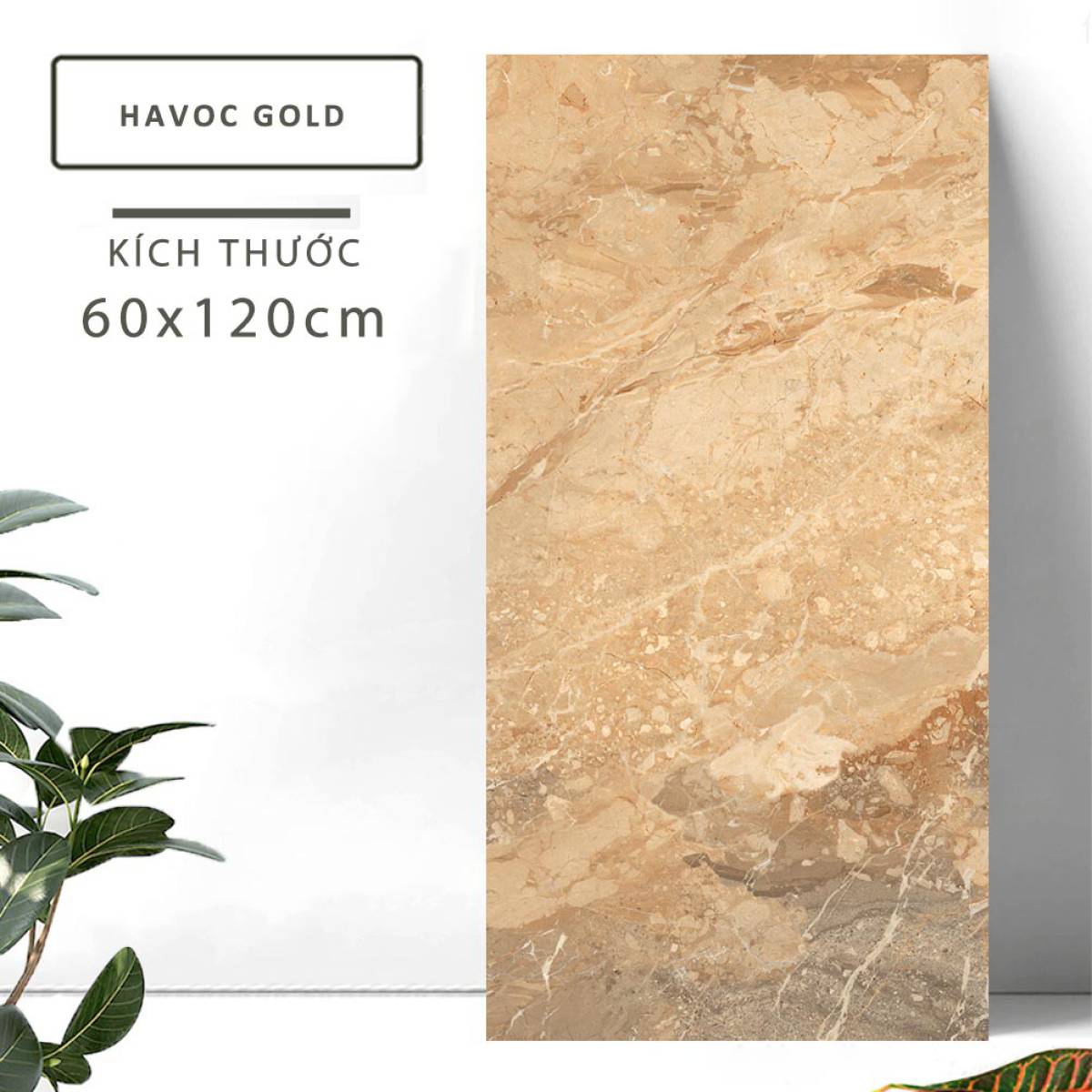 Đặc điểm của Gạch khổ lớn Ấn Độ men bóng 600x1200mm HAVOC GOLD