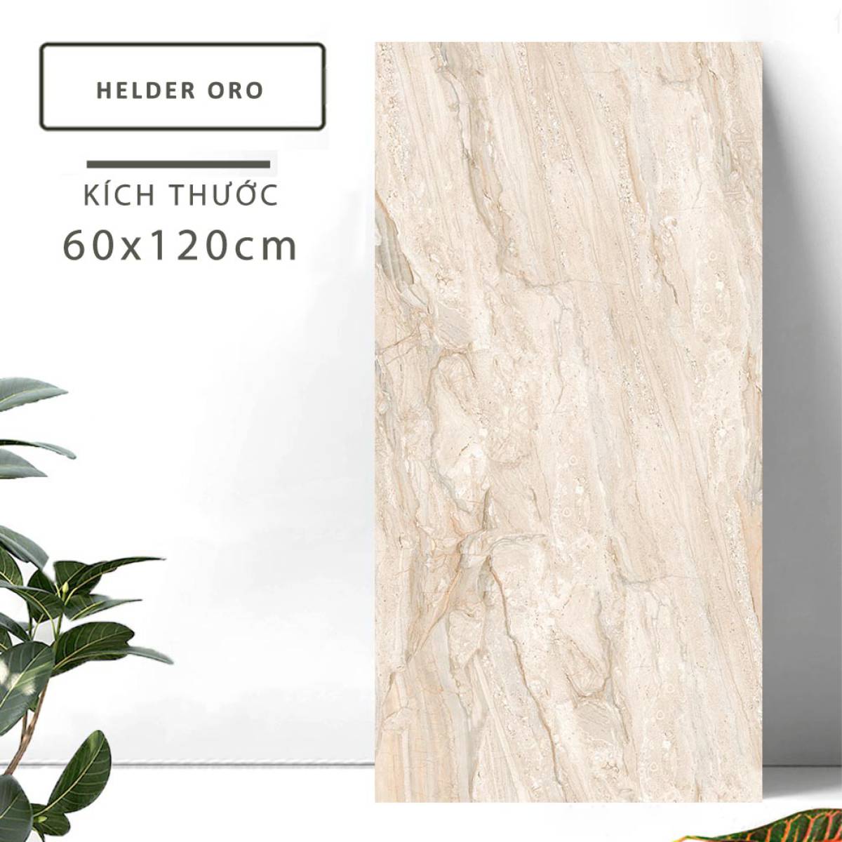 Đặc điểm của Gạch khổ lớn Ấn Độ men bóng 600x1200mm HELDER ORO