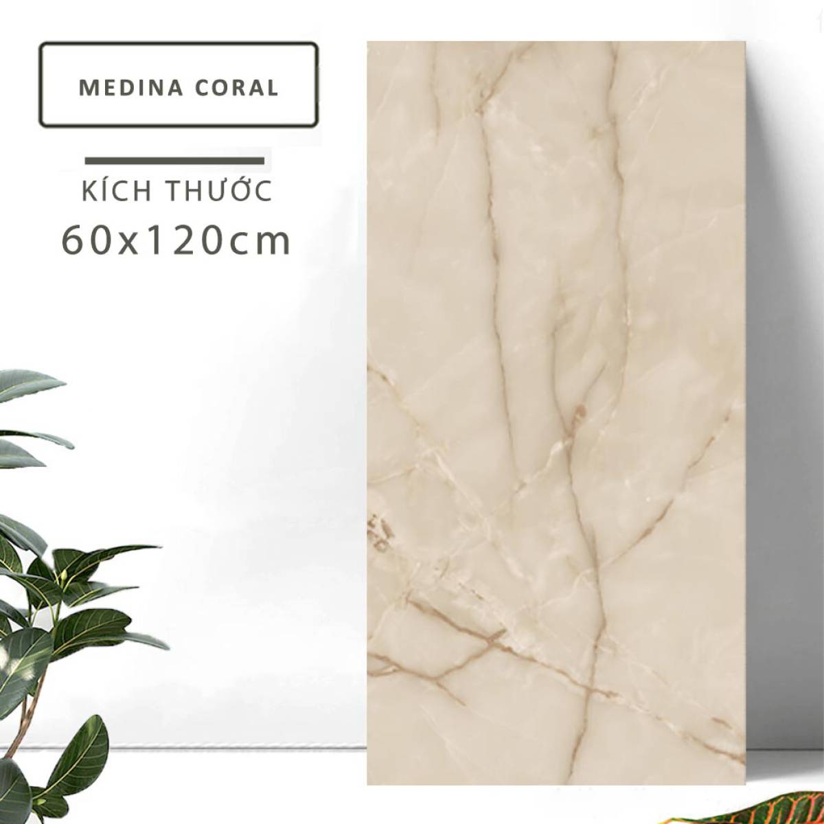 Đặc điểm của Gạch khổ lớn Ấn Độ men bóng 600x1200mm MEDINA CORAL