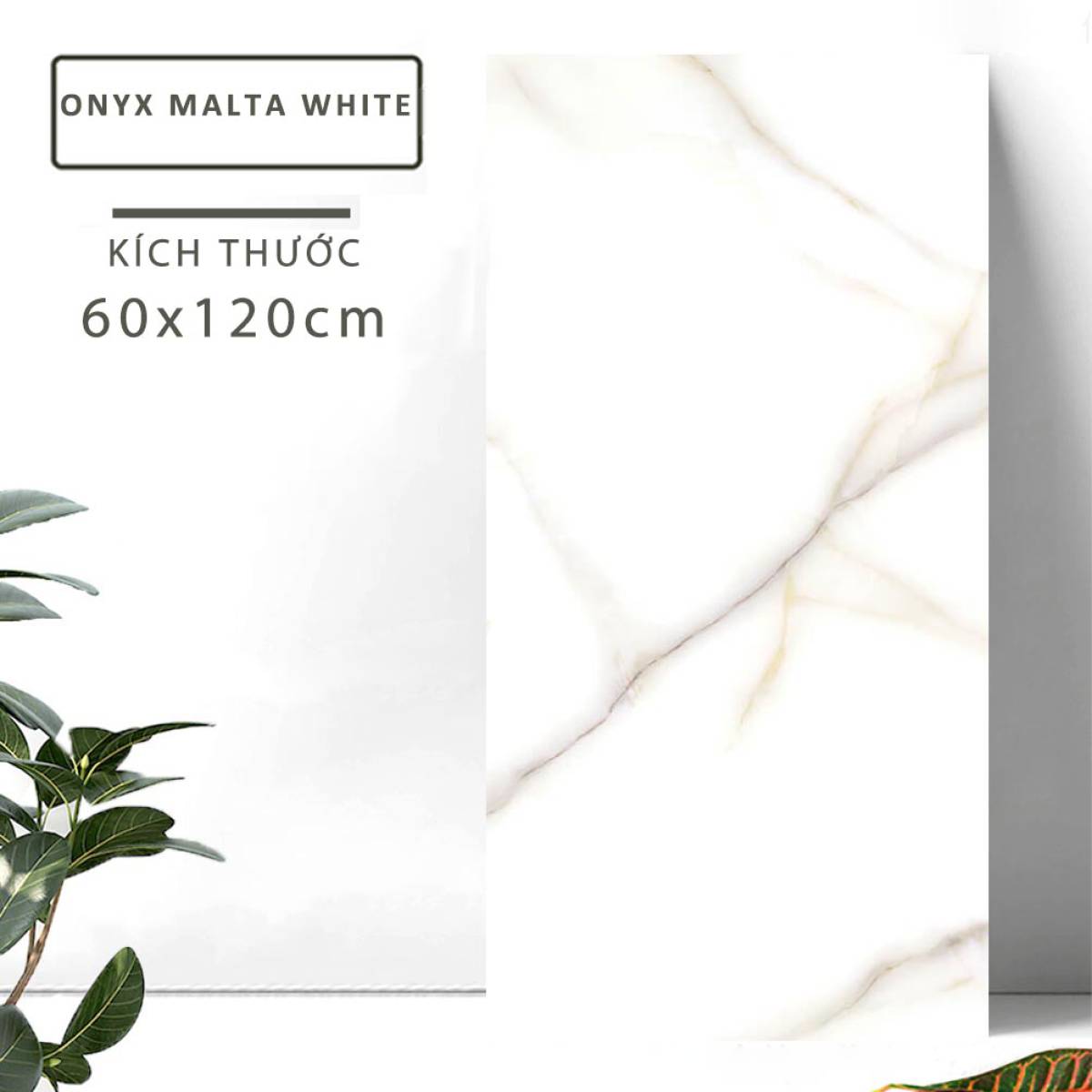 Đặc điểm của Gạch khổ lớn Ấn Độ men bóng 600x1200mm ONYX MALTA WHITE