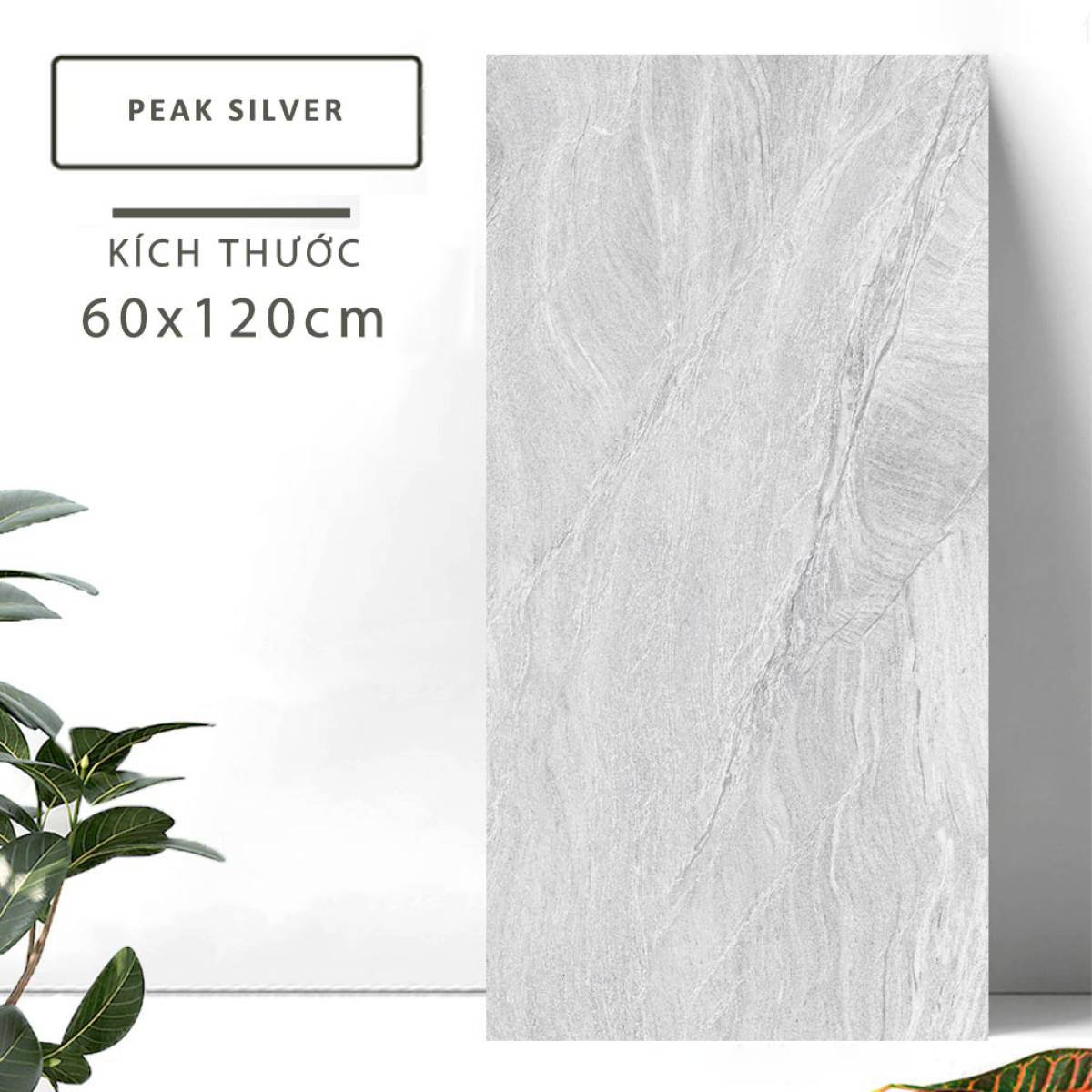 Đặc điểm của Gạch khổ lớn Ấn Độ men bóng 600x1200mm PEAK SILVER