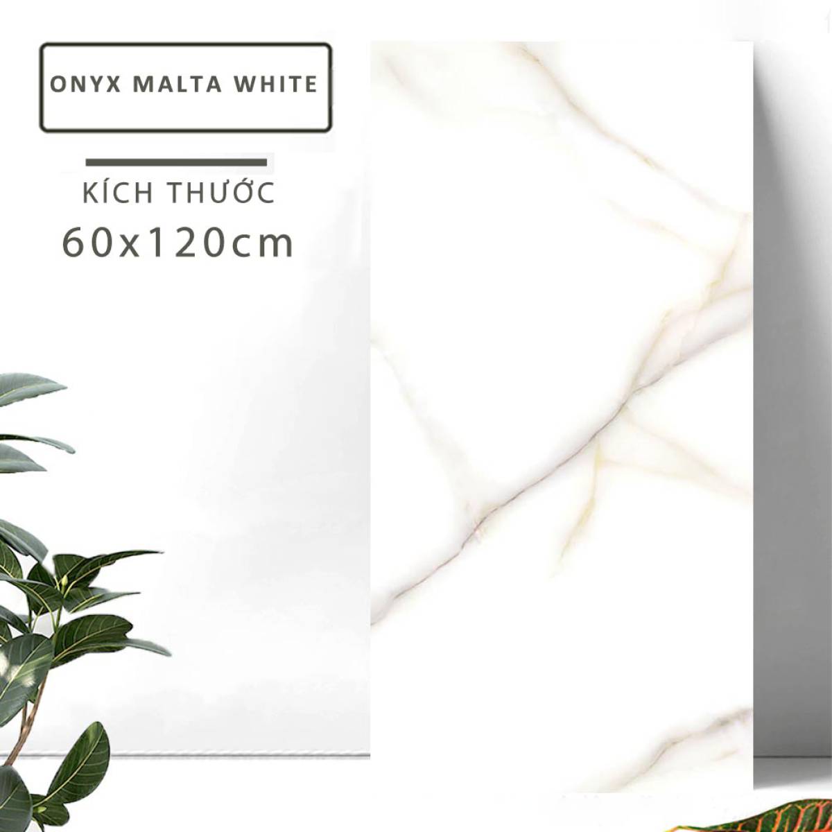 Đặc điểm của Gạch khổ lớn Ấn Độ men bóng 600x1200mm ONYX MALTA WHITE