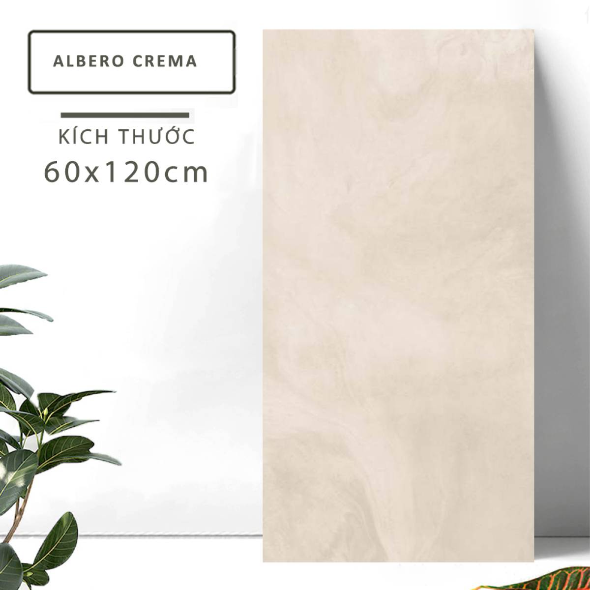 Đặc điểm của Gạch khổ lớn Ấn Độ men Matt 600x1200mm ALBERO CREMA