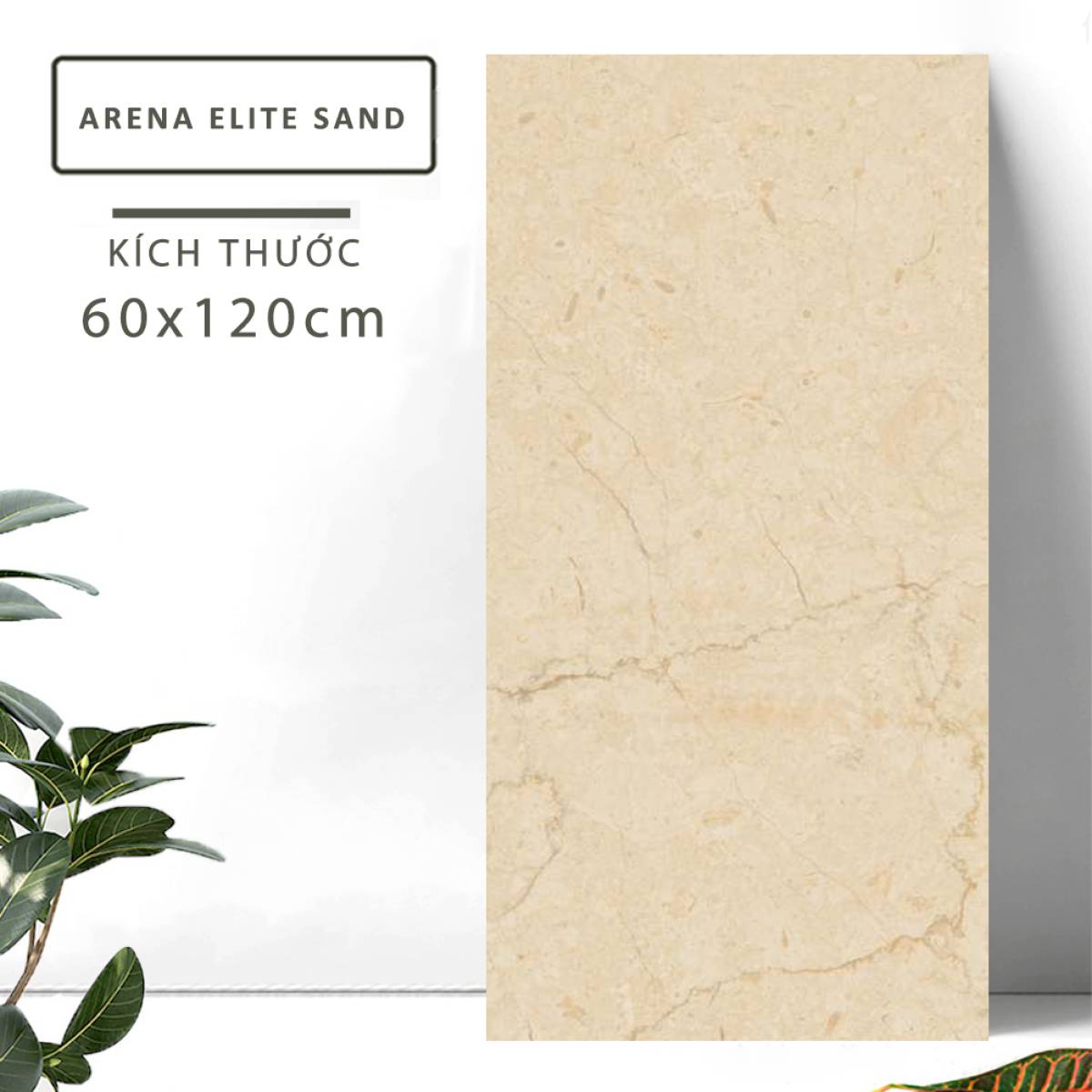 Đặc điểm của Gạch khổ lớn Ấn Độ men Matt 600x1200mm ARENA ELITE SAND