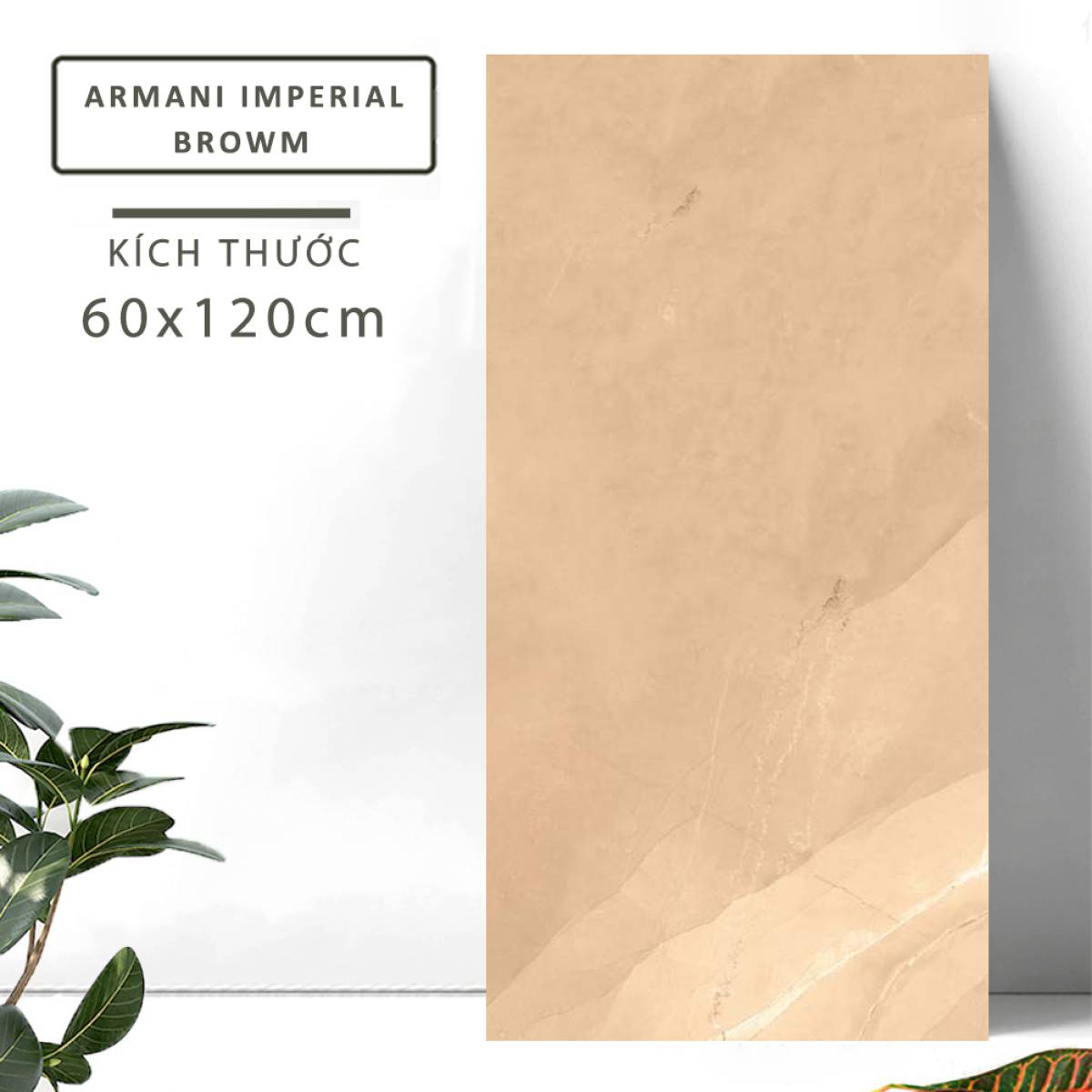 Đặc điểm của Gạch khổ lớn Ấn Độ men Matt 600x1200mm ARMANI IMPERIAL BROWM 