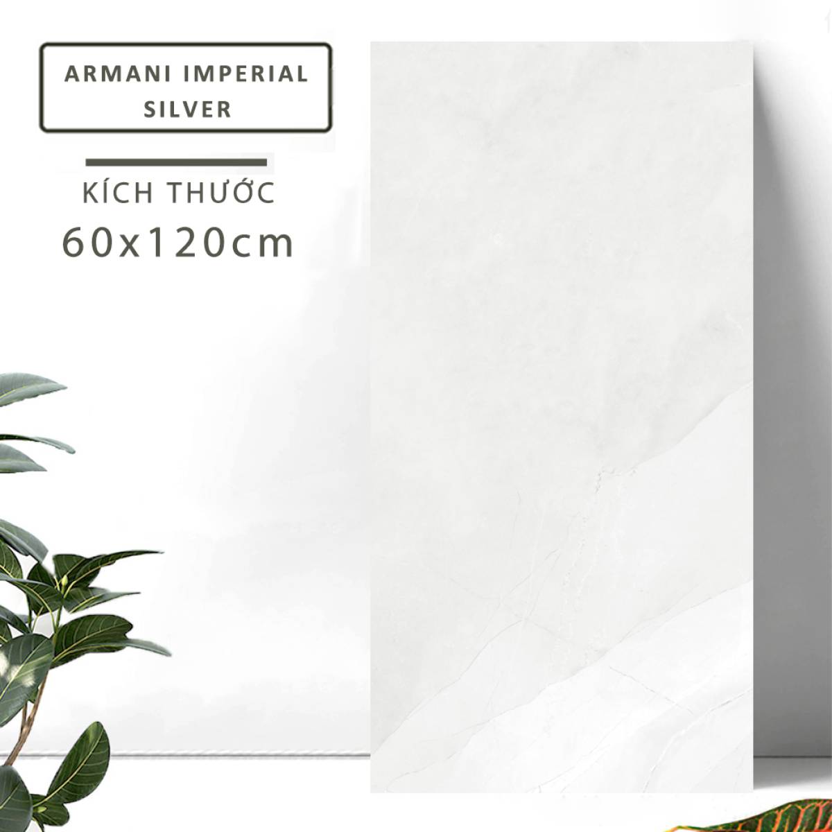 Đặc điểm của Gạch khổ lớn Ấn Độ men Matt 600x1200mm ARMANI IMPERIAL SILVER