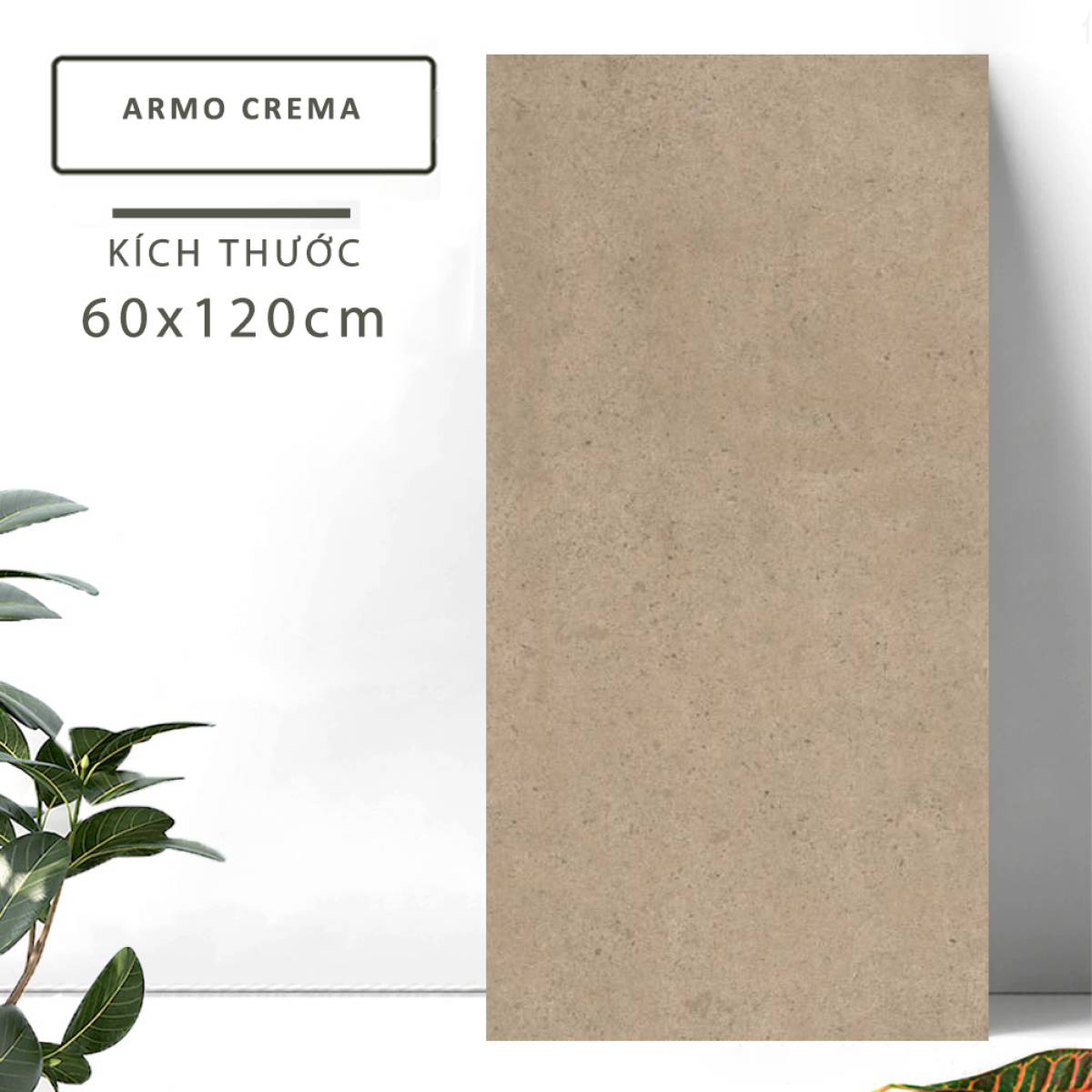 Đặc điểm của Gạch khổ lớn Ấn Độ men Matt 600x1200mm ARMO CREMA