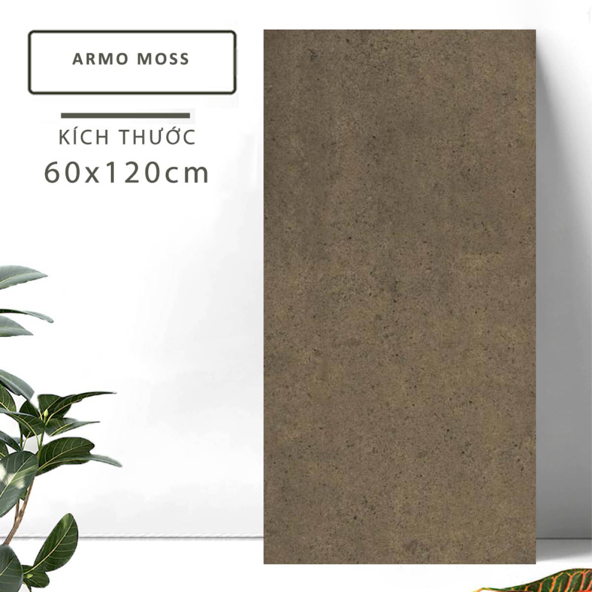 Đặc điểm của Gạch khổ lớn Ấn Độ men Matt 600x1200mm ARMO MOSS