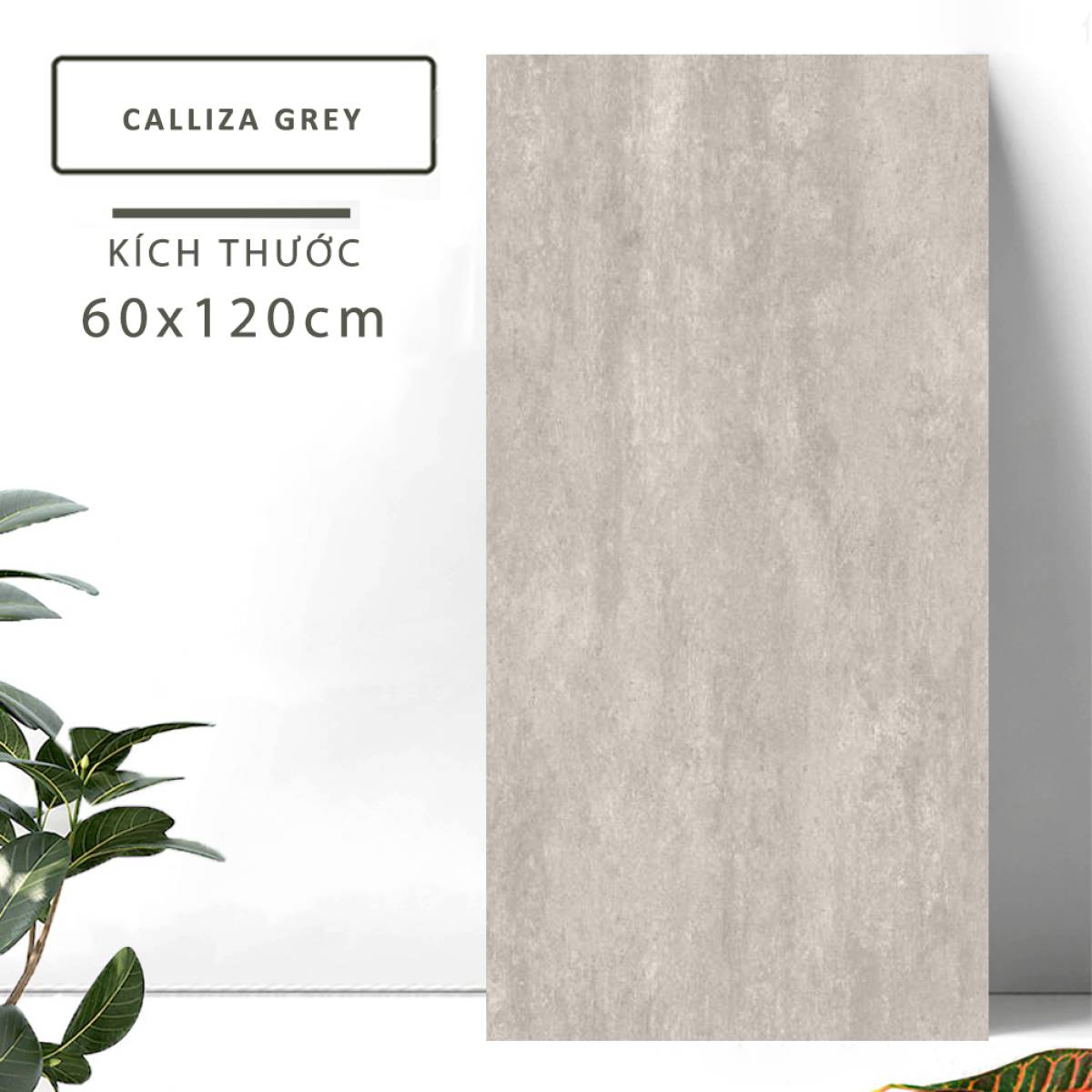 Đặc điểm của Gạch khổ lớn Ấn Độ men Matt 600x1200mm CALLIZA GREY