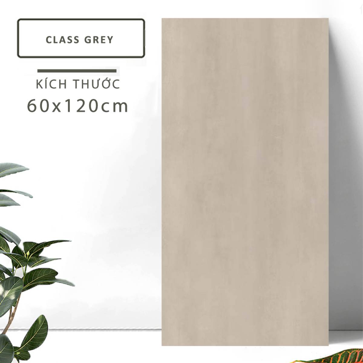 Đặc điểm của Gạch khổ lớn Ấn Độ men Matt 600x1200mm CLASS GREY