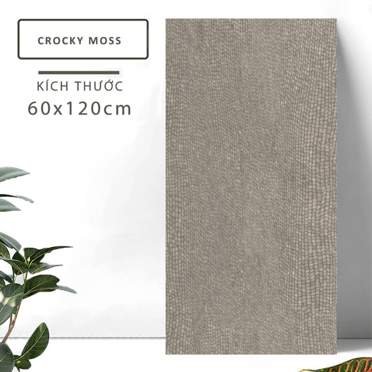 Đặc điểm của Gạch khổ lớn Ấn Độ men Matt 600x1200mm CROCKY MOSS