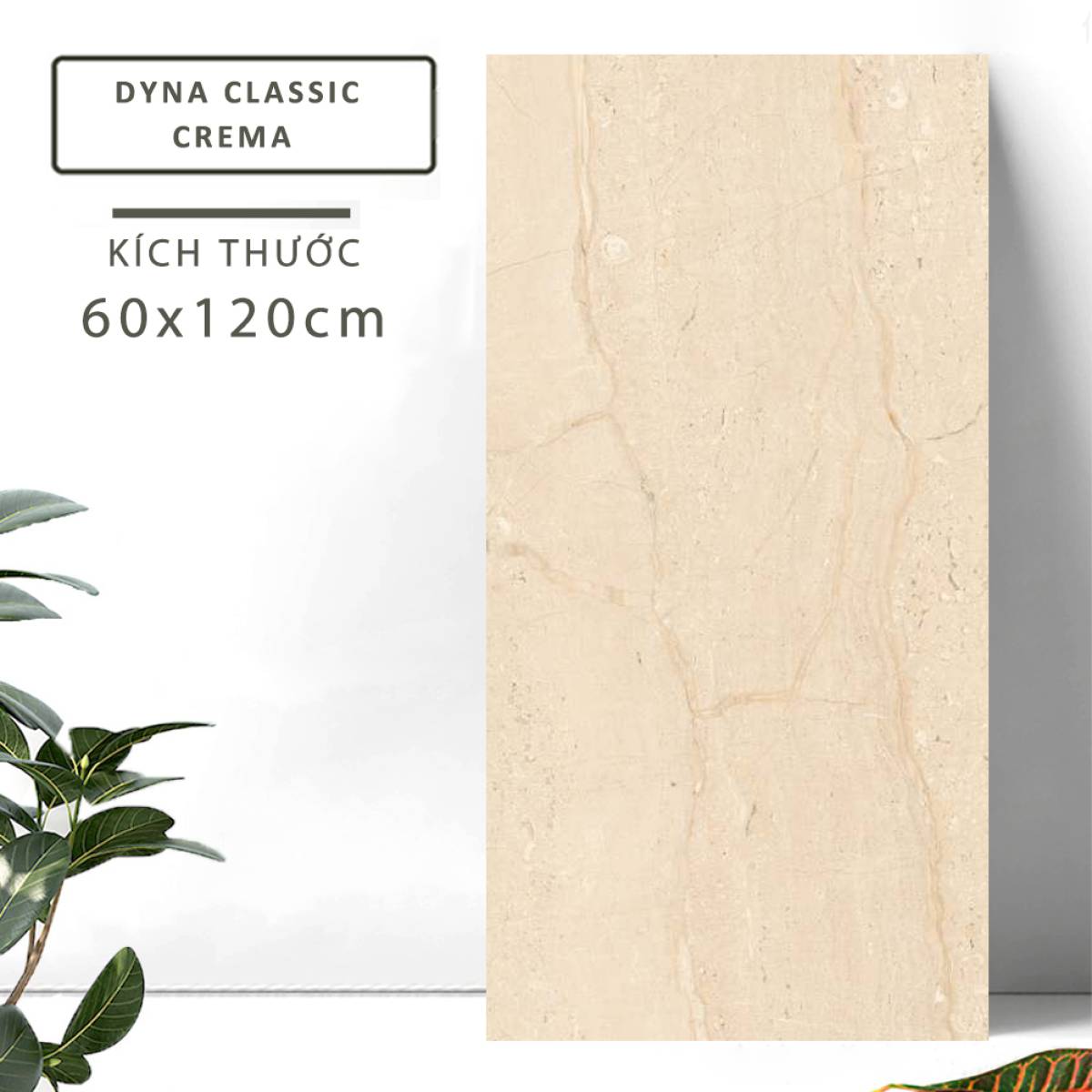 Đặc điểm của Gạch khổ lớn Ấn Độ men Matt 600x1200mm DYNA CLASSIC CREMA