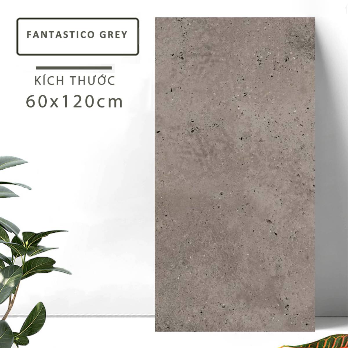 Đặc điểm của Gạch khổ lớn Ấn Độ men Matt 600x1200mm FANTASTICO GREY