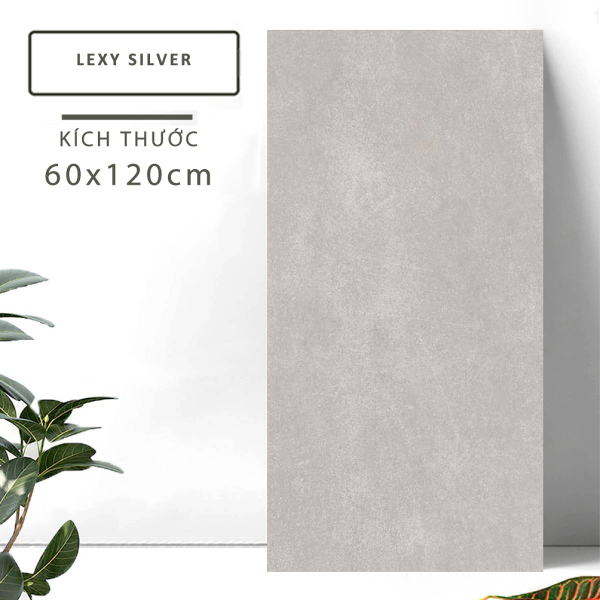 Đặc điểm của Gạch khổ lớn Ấn Độ men Matt 600x1200mm LEXY SILVER