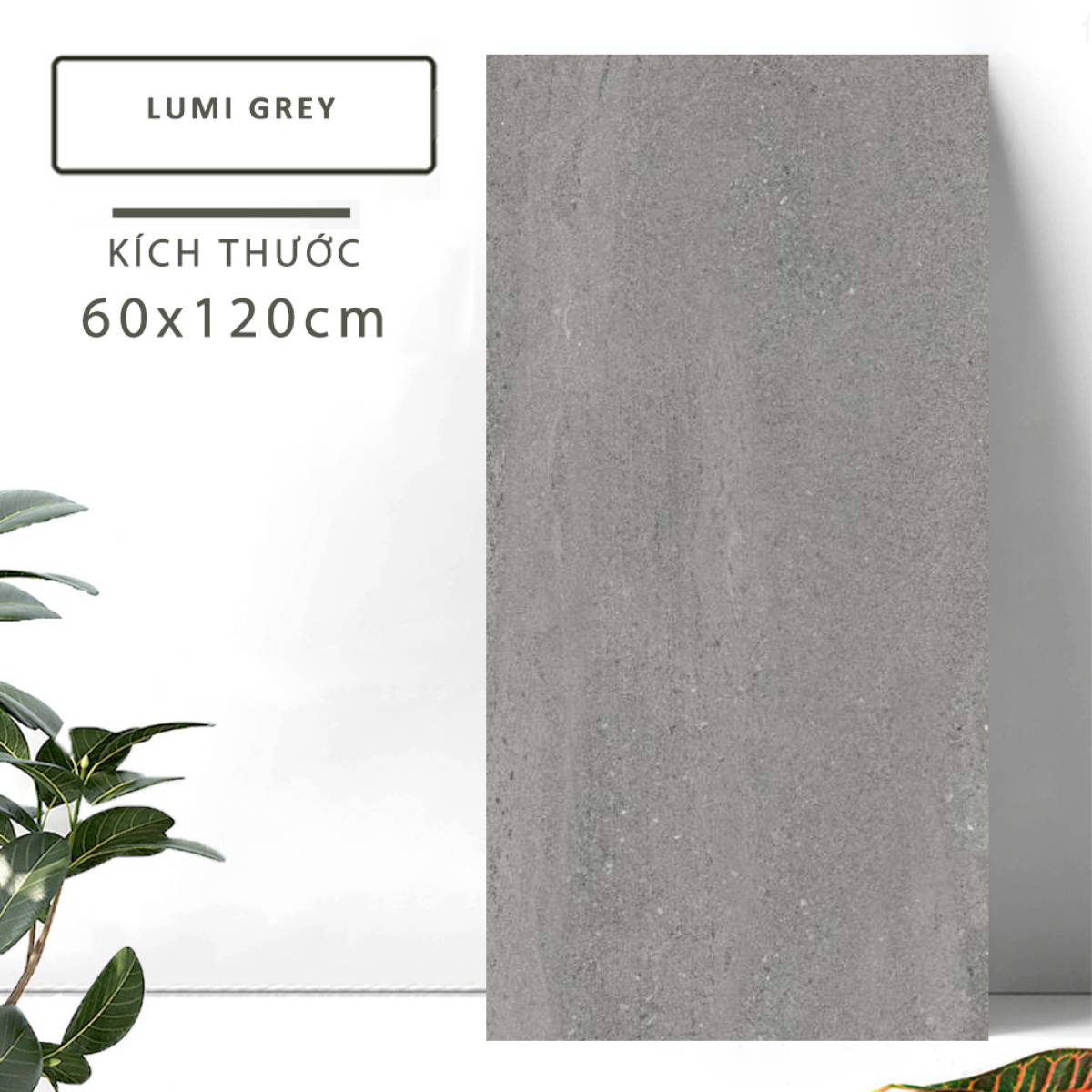 Đặc điểm của Gạch khổ lớn Ấn Độ men Matt 600x1200mm LUMI GREY