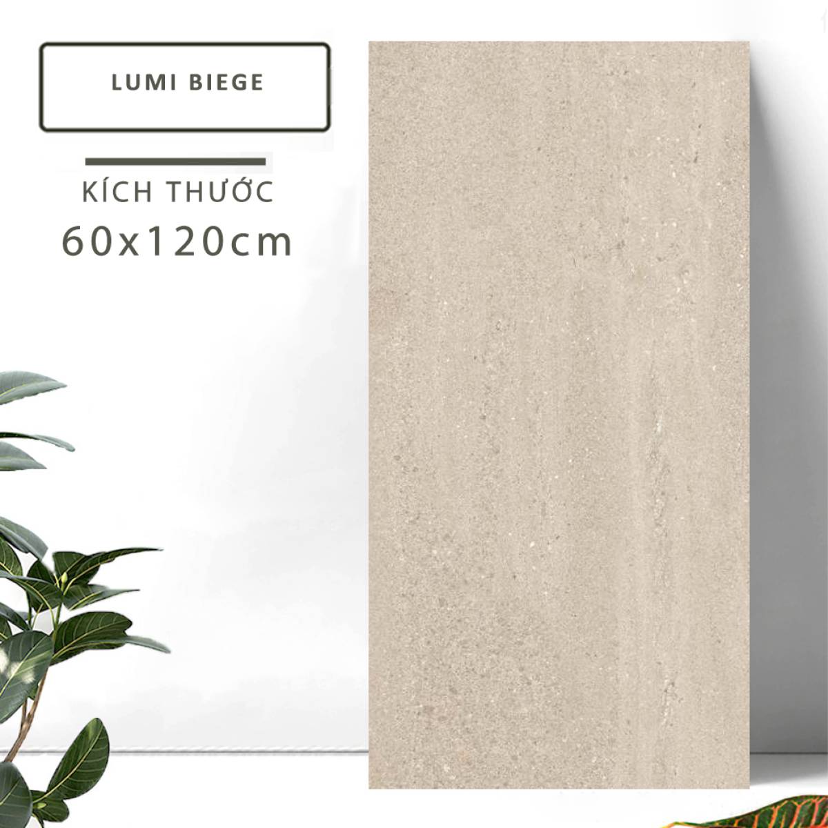 Đặc điểm của Gạch khổ lớn Ấn Độ men Matt 600x1200mm LUMI BEIGE