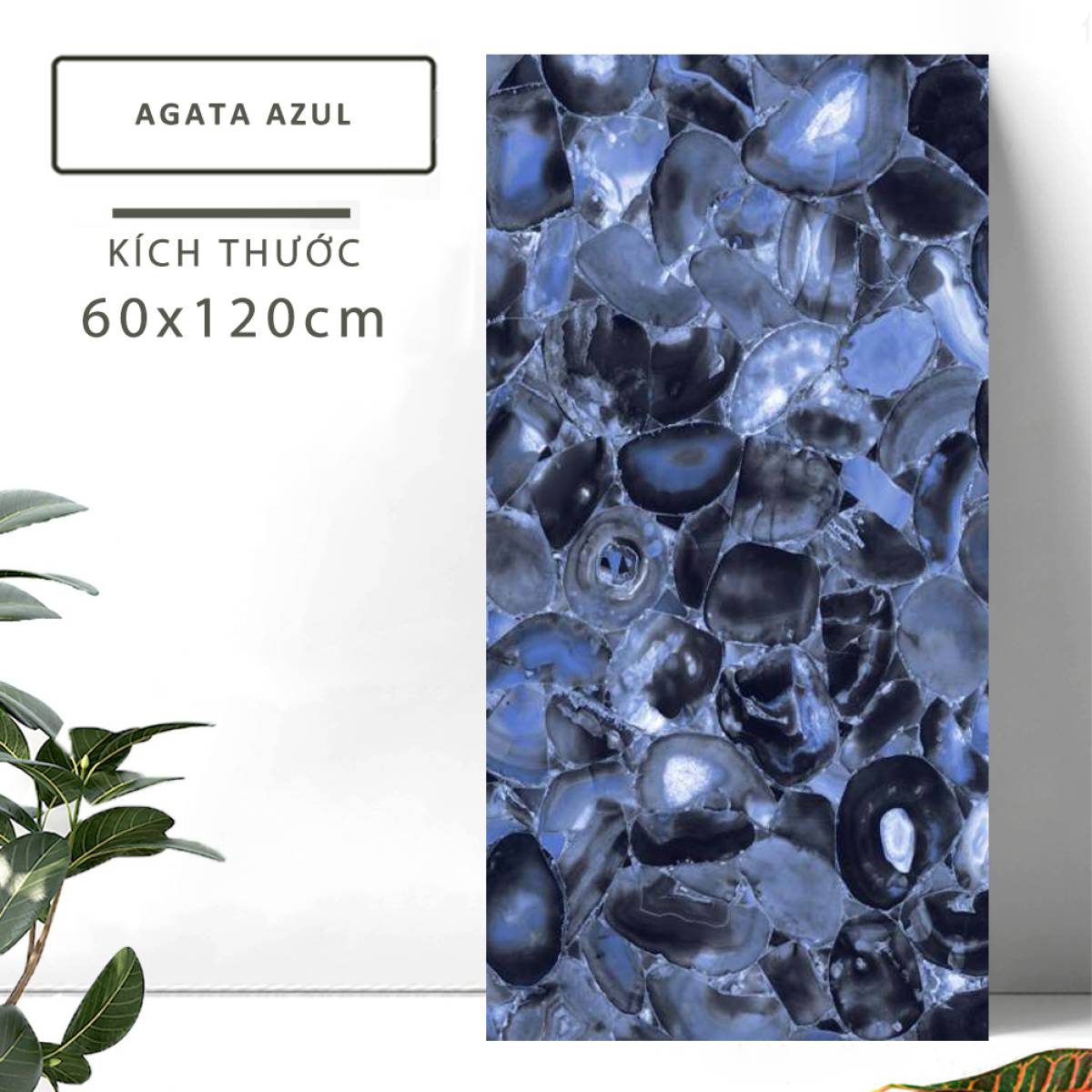 Đặc điểm của Gạch khổ lớn Ấn Độ men bóng 600x1200mm AGATA AZUL