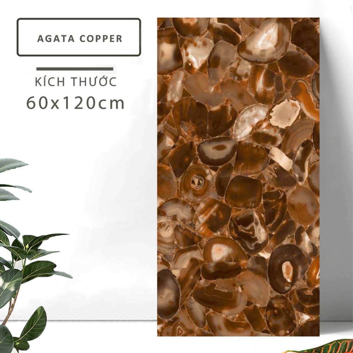 Đặc điểm của Gạch khổ lớn Ấn Độ men bóng 600x1200mm AGATA COPPER