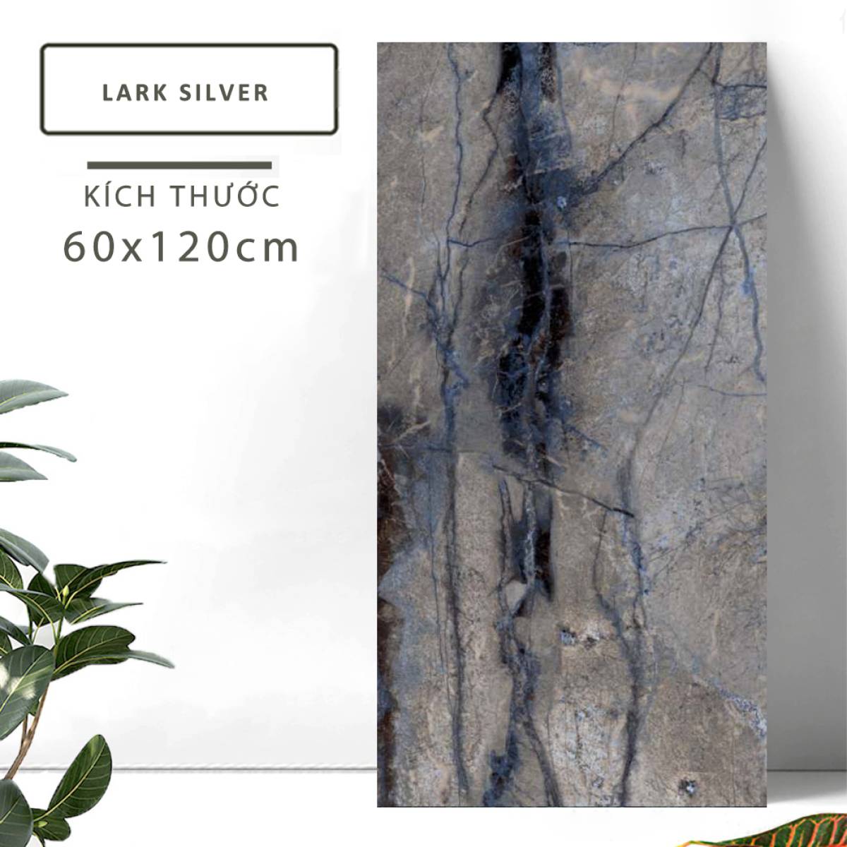 Đặc điểm của Gạch khổ lớn Ấn Độ men bóng 600x1200mm LARK SILVER