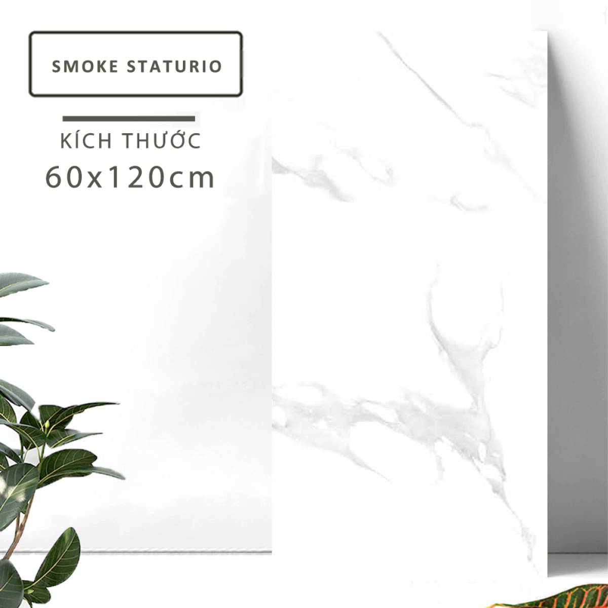 Sản phẩm gạch khổ lớn men bóng Nessa Ấn Độ 600x1200mm SMOKE STATURIO