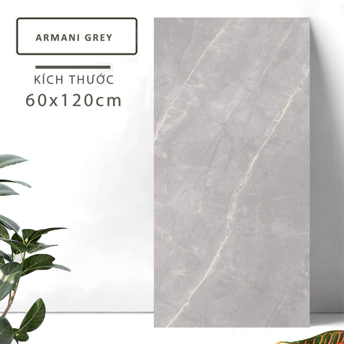 Sản phẩm gạch khổ lớn men bóng Nessa Ấn Độ 600x1200mm ARMANI GREY