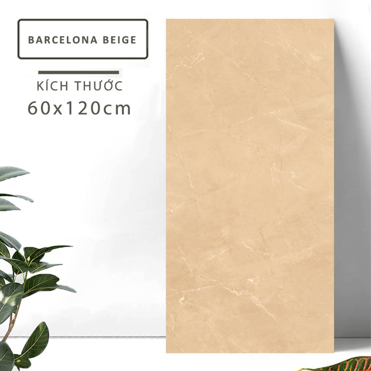 Sản phẩm gạch khổ lớn men bóng Nessa Ấn Độ 600x1200mm BARCELONA BEIGE