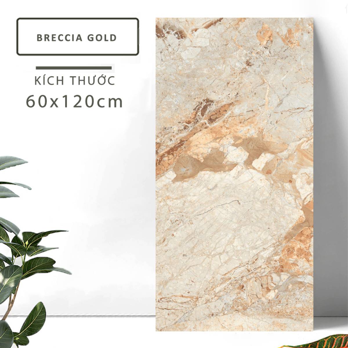 Sản phẩm gạch khổ lớn men bóng Nessa Ấn Độ 600x1200mm BRECCIA GOLD