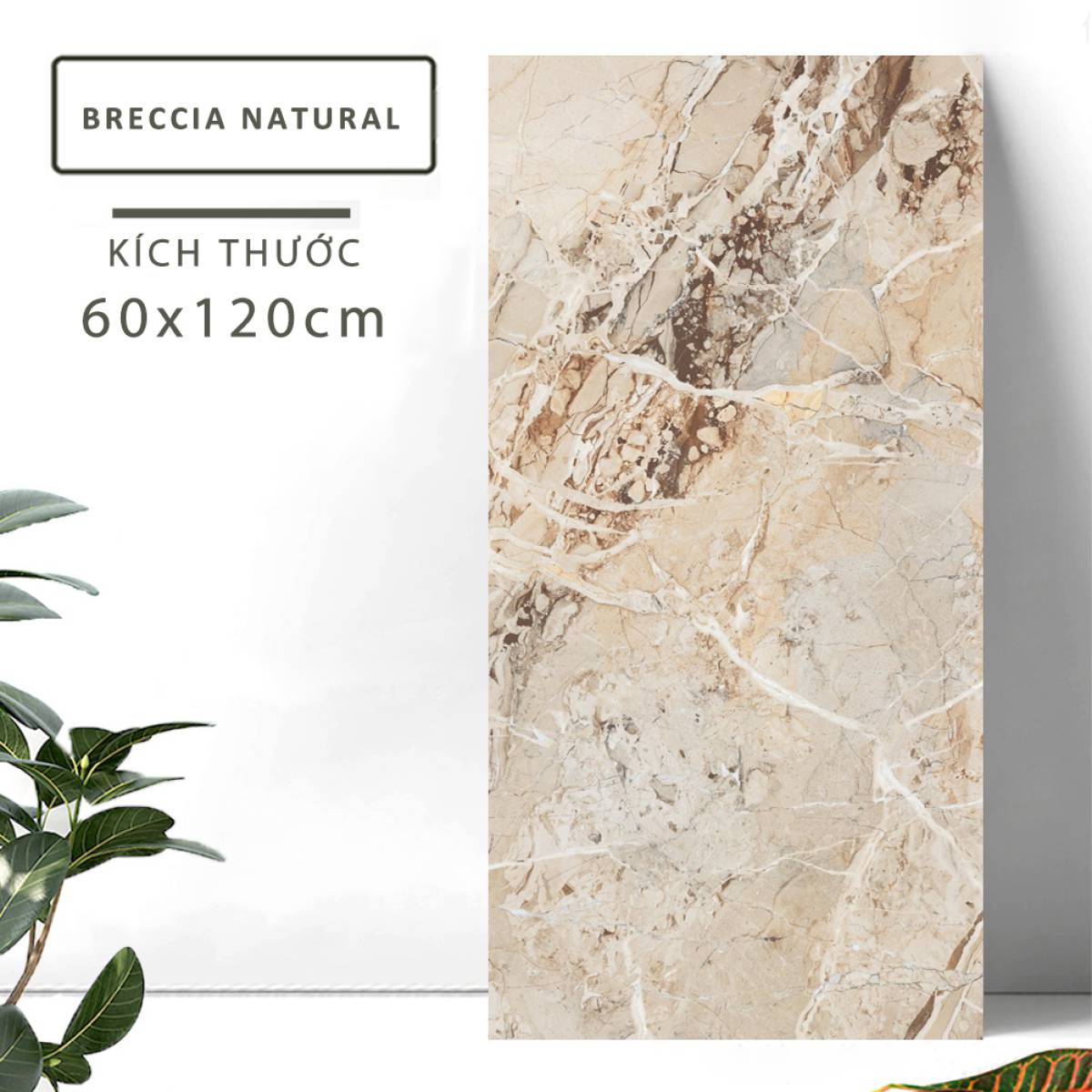 Sản phẩm gạch khổ lớn men bóng Nessa Ấn Độ 600x1200mm BRECCIA NATURAL