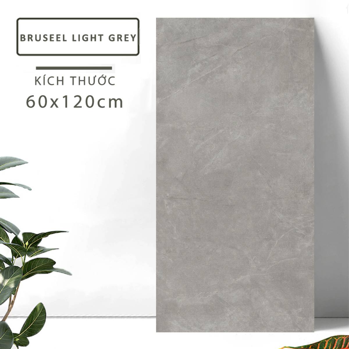 Sản phẩm gạch khổ lớn men bóng Nessa Ấn Độ 600x1200mm BRUSEEL LIGHT GREY