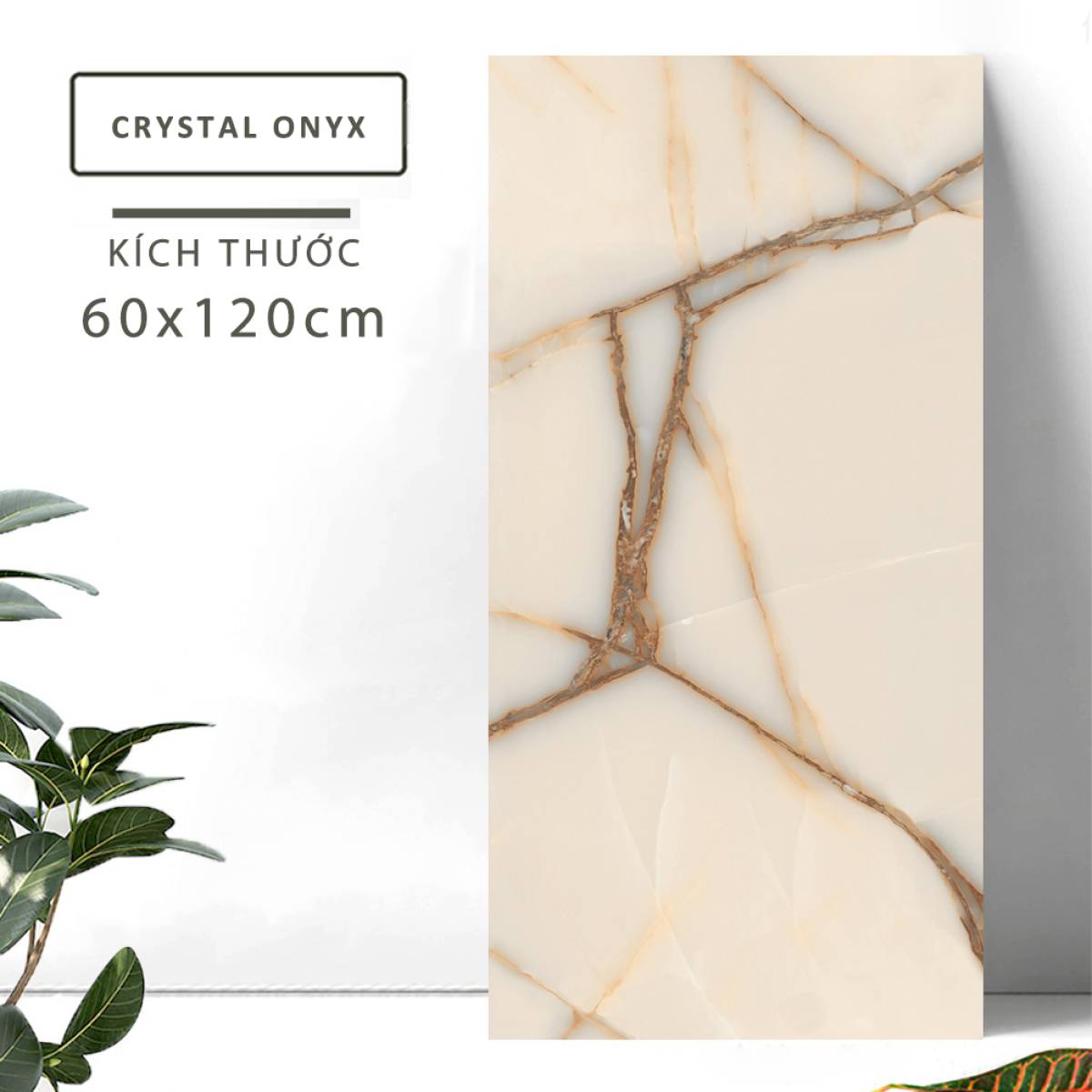 Sản phẩm gạch khổ lớn men bóng Nessa Ấn Độ 600x1200mm CRYSTAL ONYX