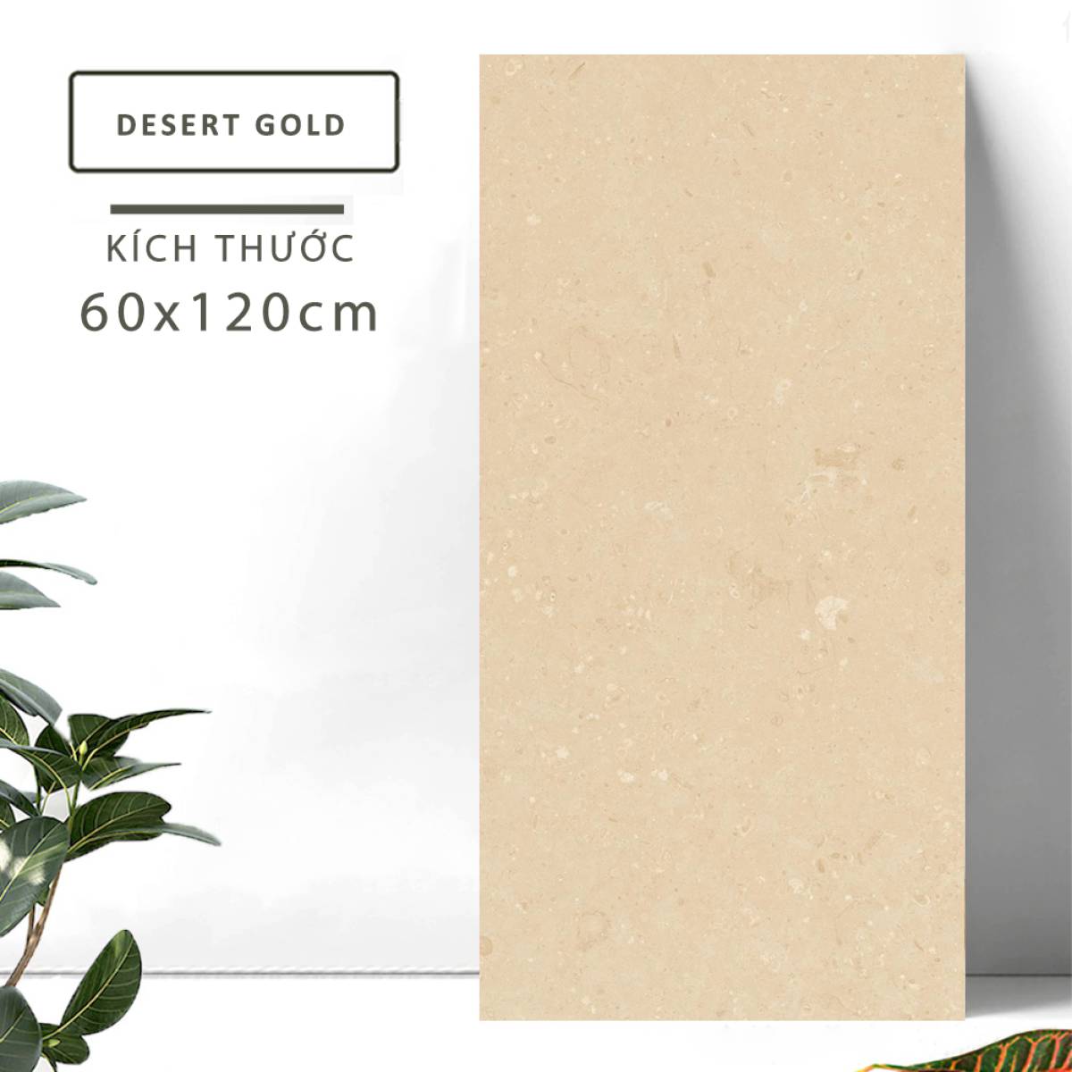 Sản phẩm gạch khổ lớn men bóng Nessa Ấn Độ 600x1200mm DESERT GOLD