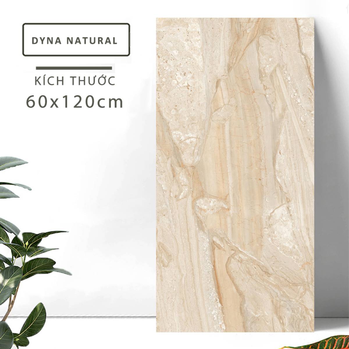 Sản phẩm gạch khổ lớn men bóng Nessa Ấn Độ 600x1200mm DYNA NATURAL