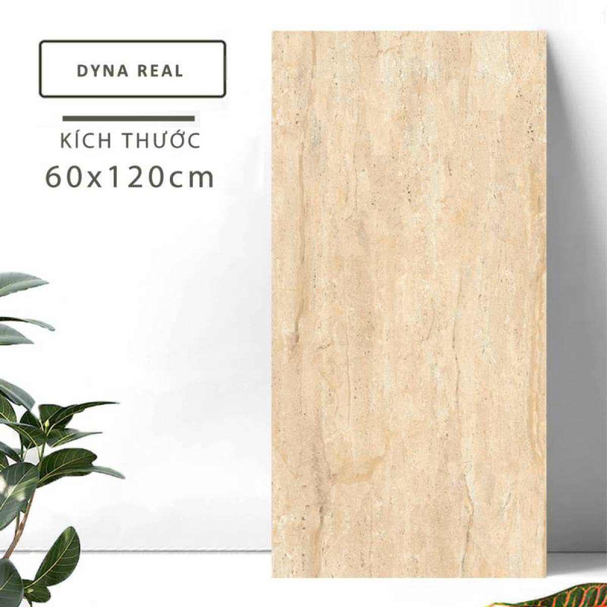 Sản phẩm gạch khổ lớn men bóng Nessa Ấn Độ 600x1200mm DYNA REAL 