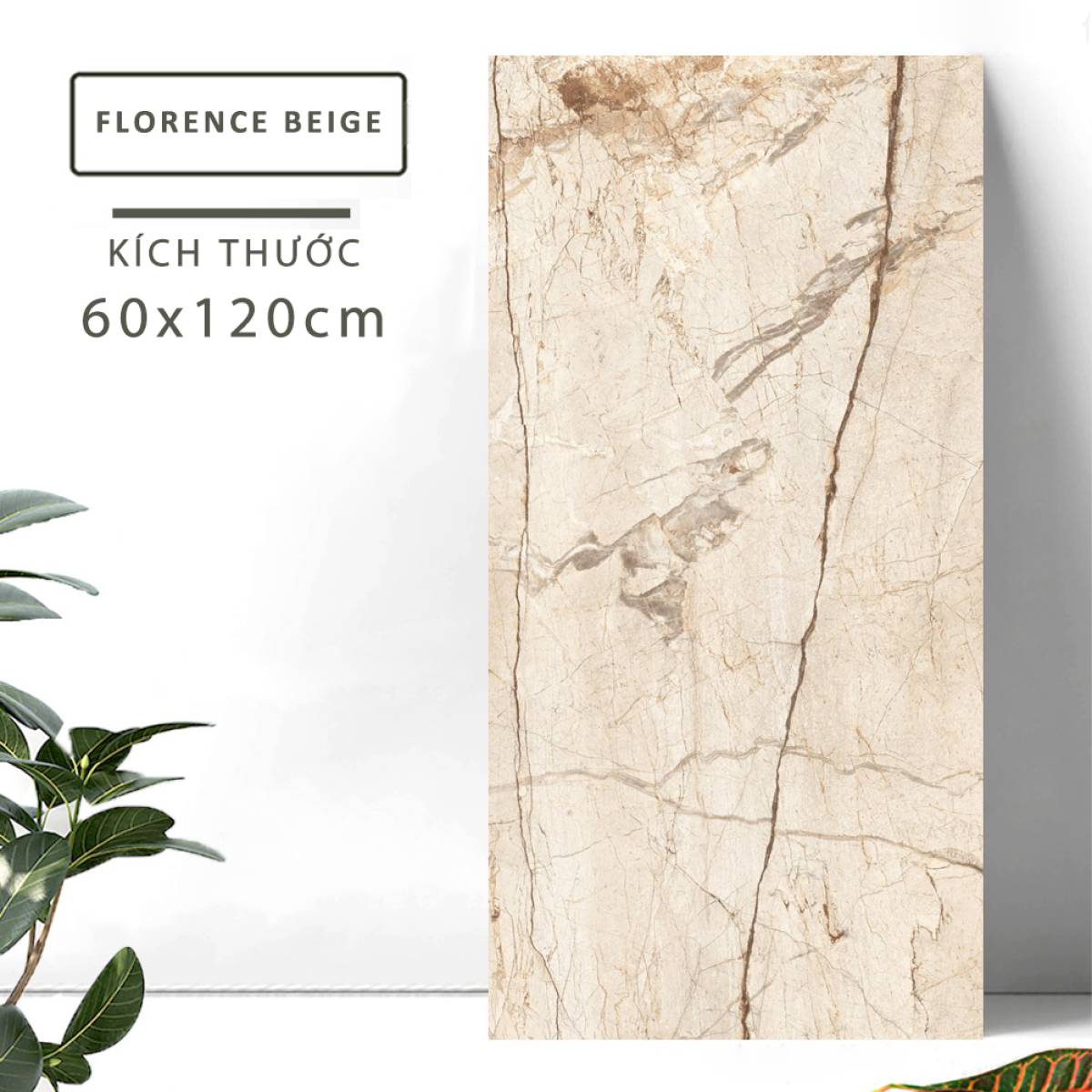 Sản phẩm gạch khổ lớn men bóng Nessa Ấn Độ 600x1200mm FLORENCE BEIGE