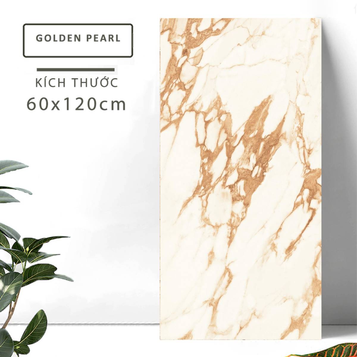 Sản phẩm gạch khổ lớn men bóng Nessa Ấn Độ 600x1200mm GOLDEN PEARL