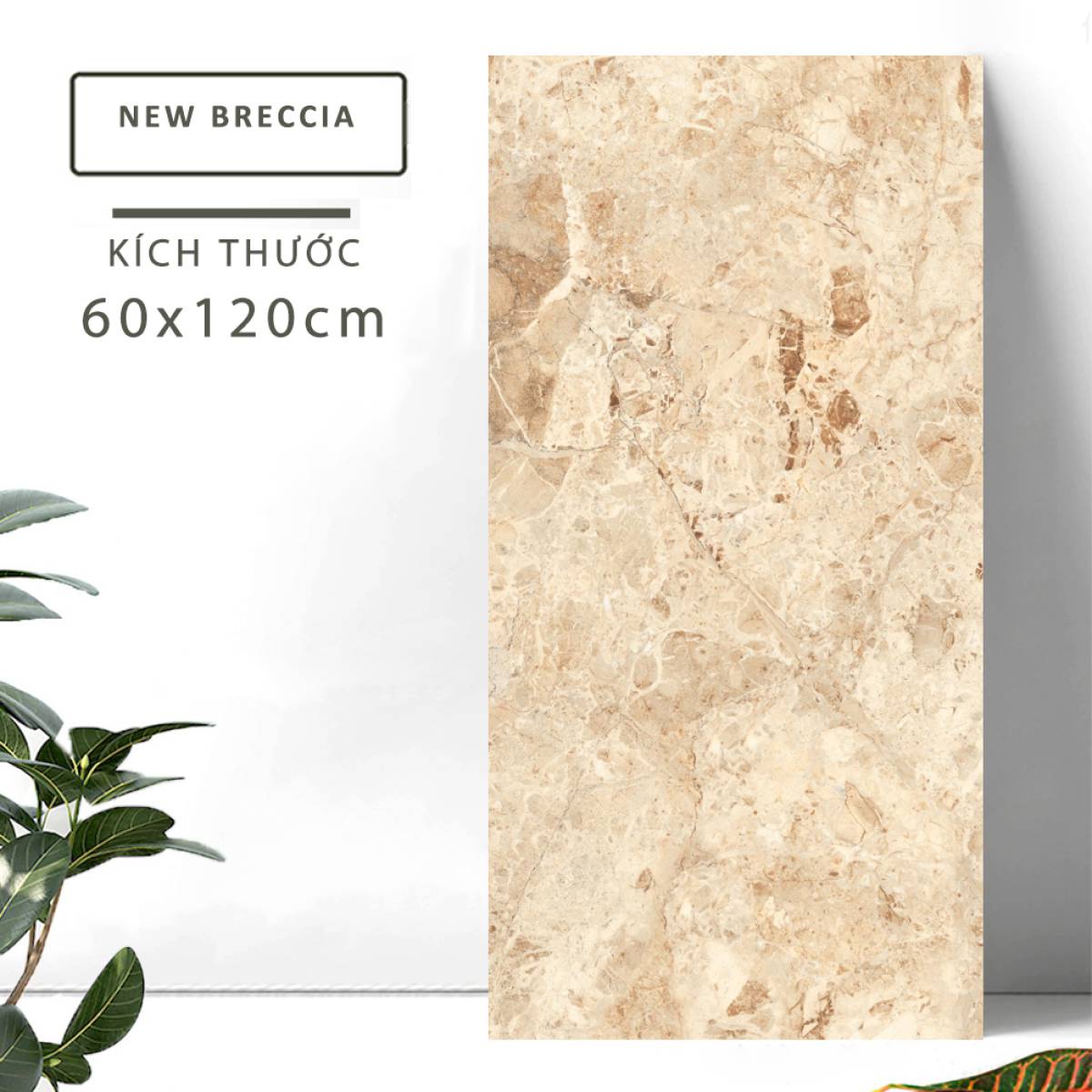 Sản phẩm gạch khổ lớn men bóng Nessa Ấn Độ 600x1200mm NEW BRECCIA