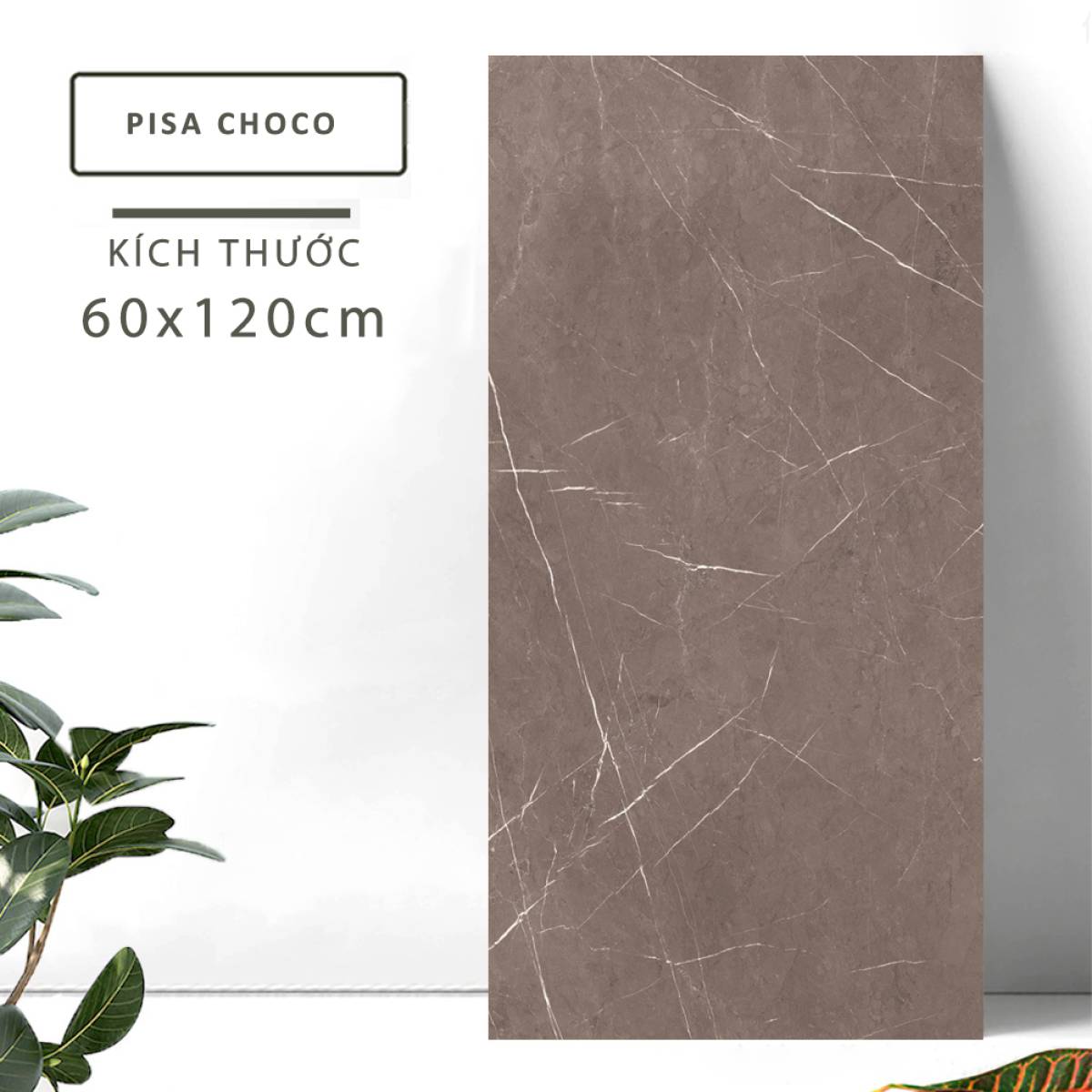 Sản phẩm gạch khổ lớn men bóng Nessa Ấn Độ 600x1200mm PISA CHOCO