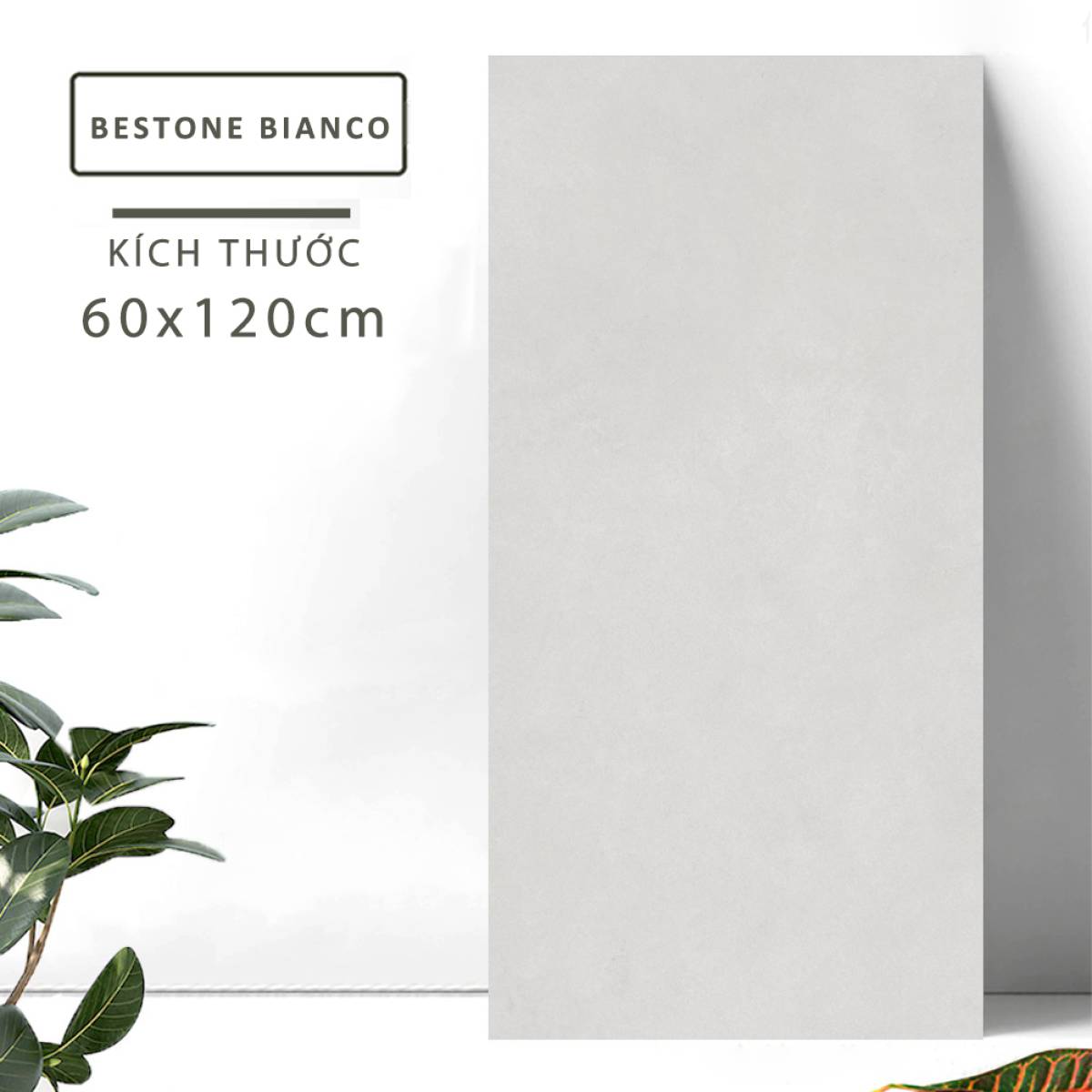 Sản phẩm gạch khổ lớn men matt Nessa Ấn Độ 600x1200mm BESTONE BIANCO