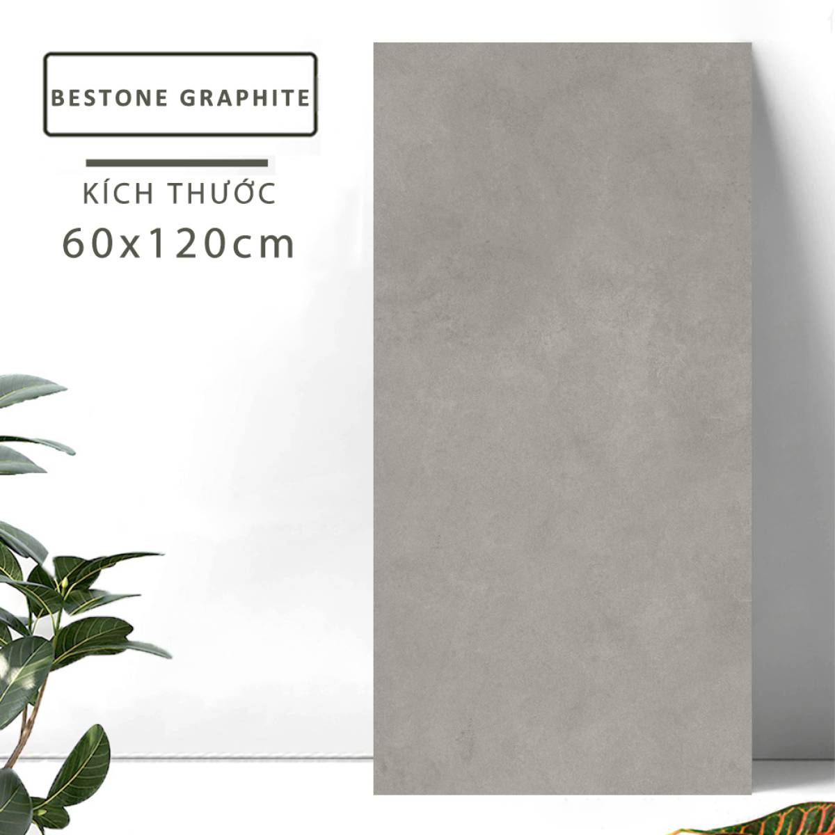 Sản phẩm gạch khổ lớn men matt Nessa Ấn Độ 600x1200mm BESTONE GRAPHITE