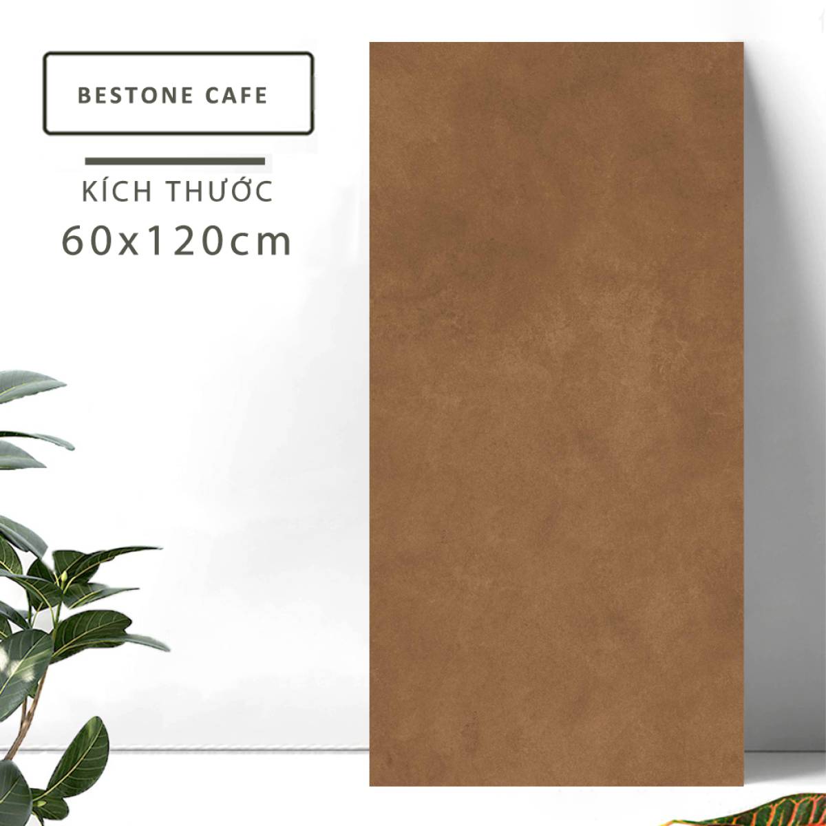 Sản phẩm gạch khổ lớn men matt Nessa Ấn Độ 600x1200mm BESTONE CAFE