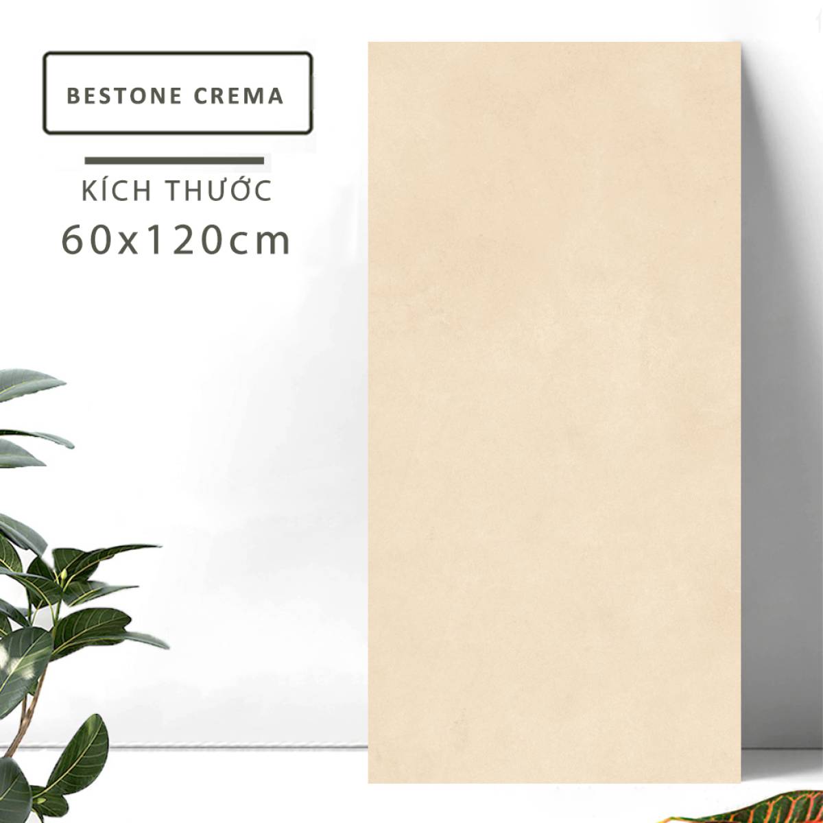 Sản phẩm gạch khổ lớn men matt Nessa Ấn Độ 600x1200mm BESTONE CREMA