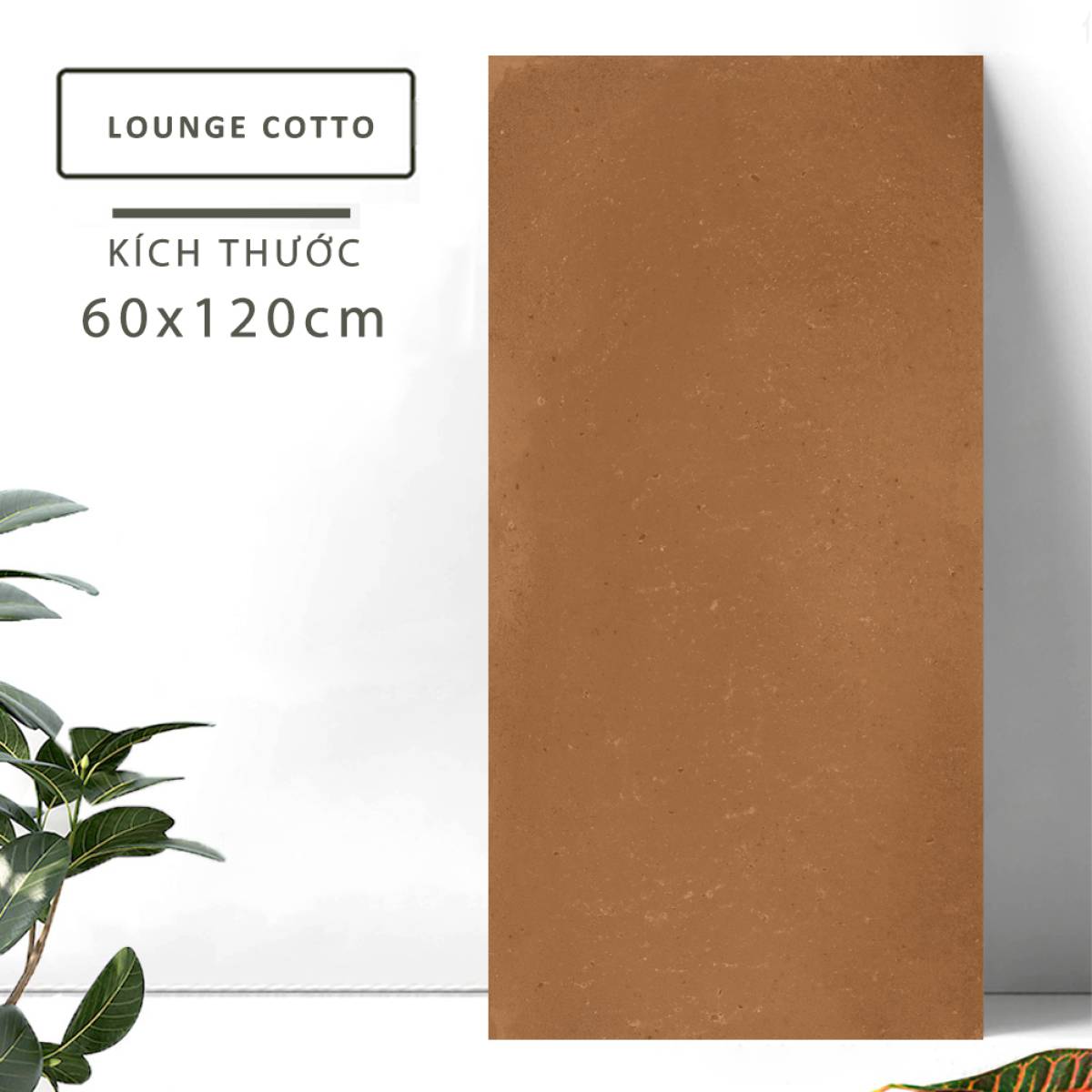 Sản phẩm gạch khổ lớn men matt Nessa Ấn Độ 600x1200mm LOUNGE COTTO